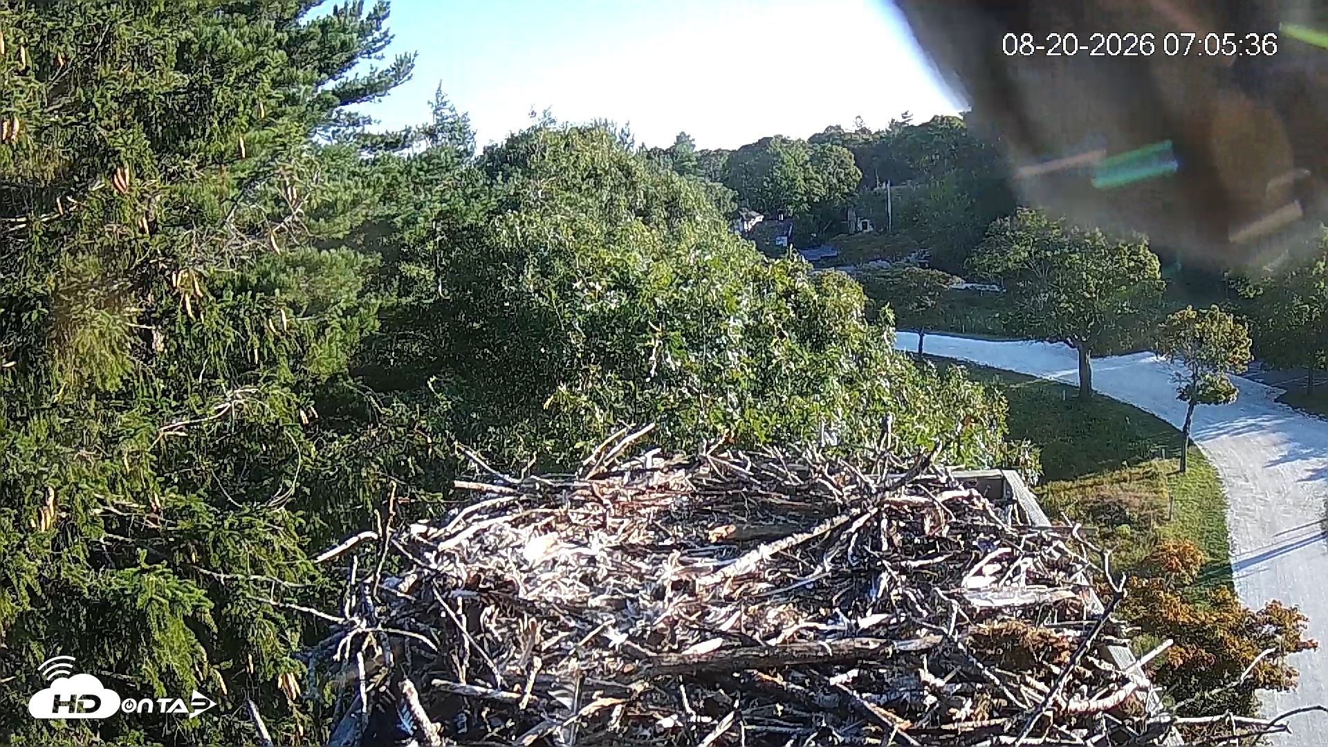 Snapshot of Mashpee Natl. Wildlife Refuge Live Osprey Cam taken Aug 20, 2026, 7:06am EDT