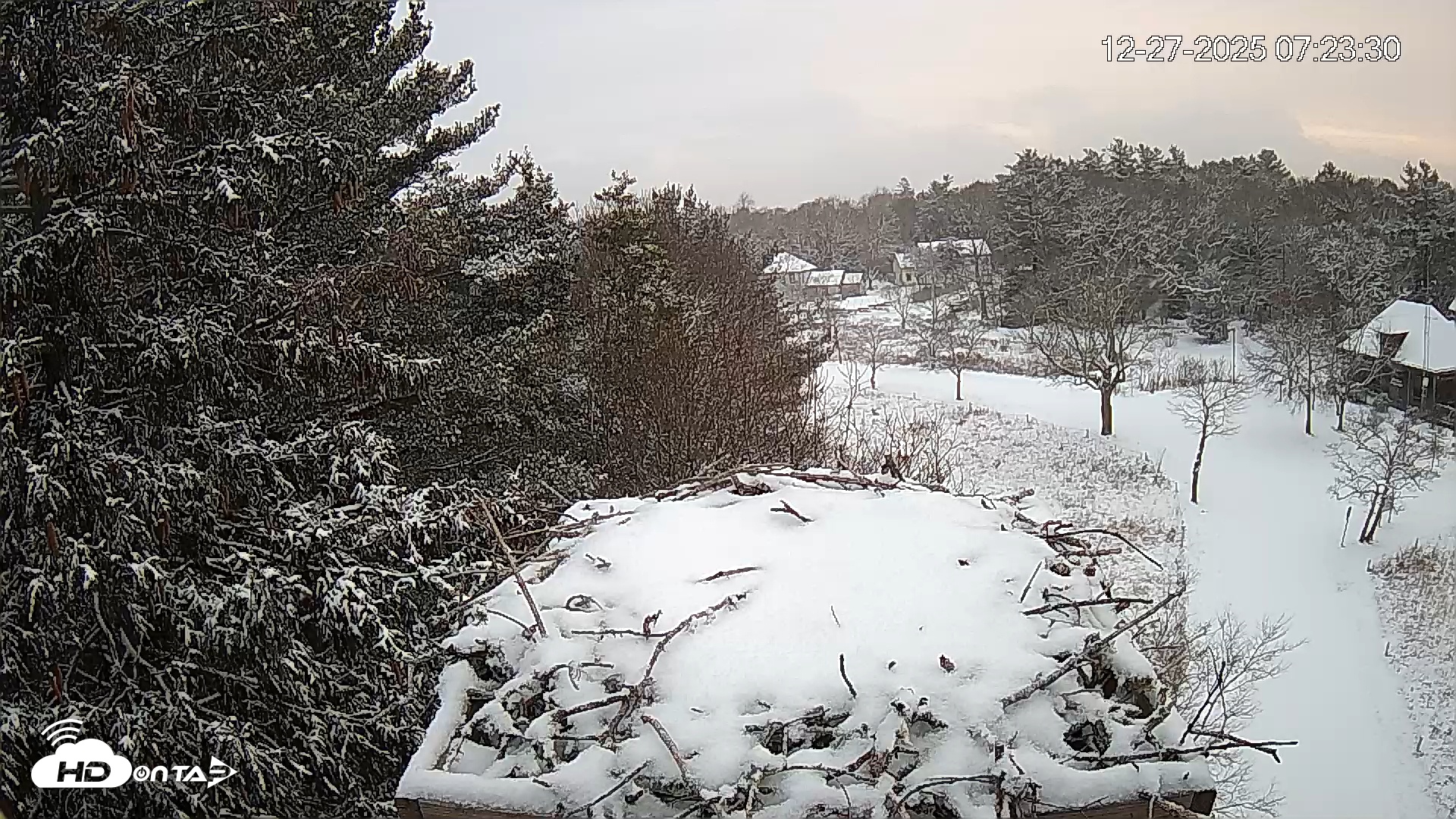 Snapshot of Mashpee Natl. Wildlife Refuge Live Osprey Cam taken Dec 27, 2025, 7:24am EST