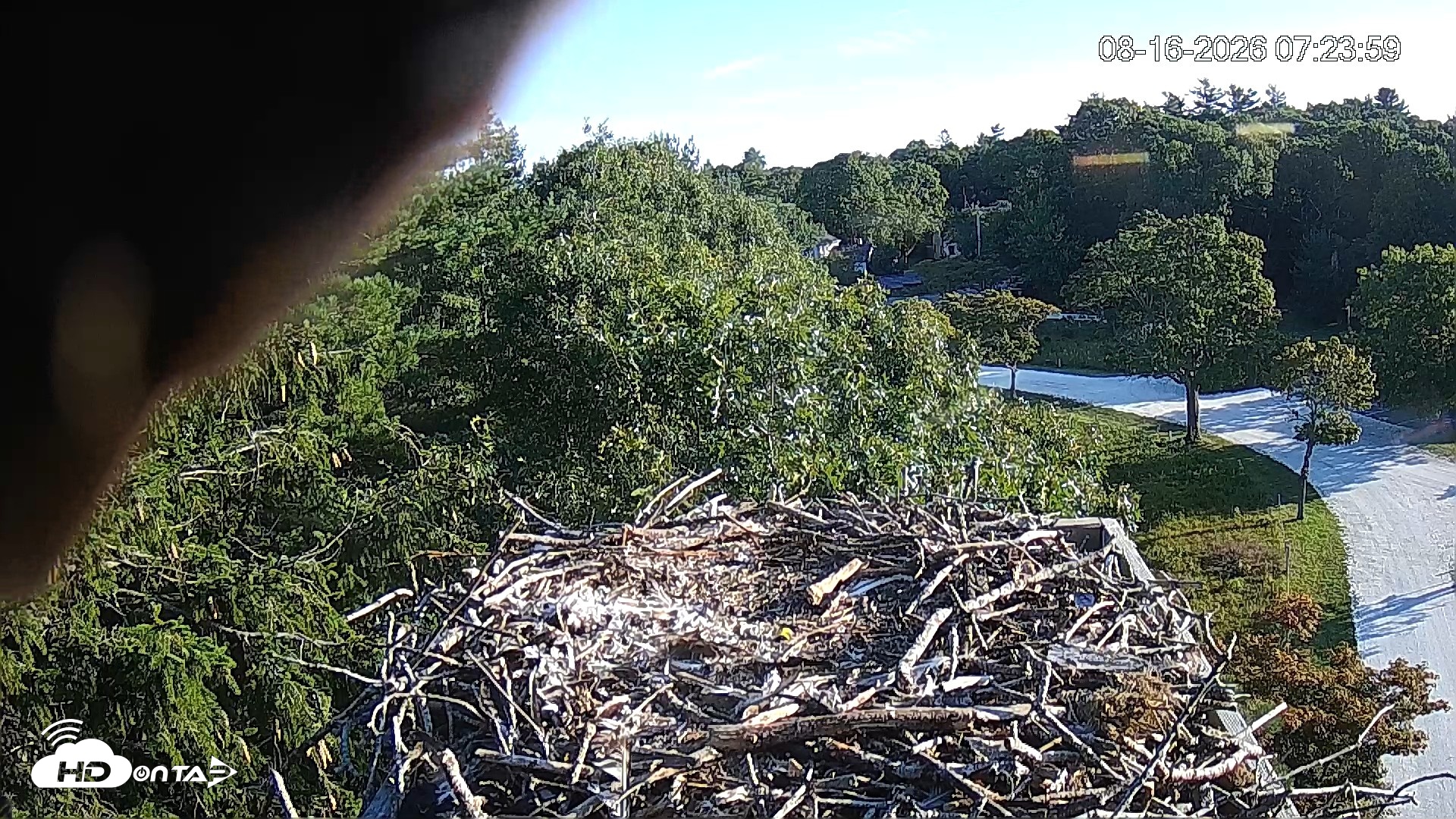 Snapshot of Mashpee Natl. Wildlife Refuge Live Osprey Cam taken Aug 16, 2026, 2:18pm EDT