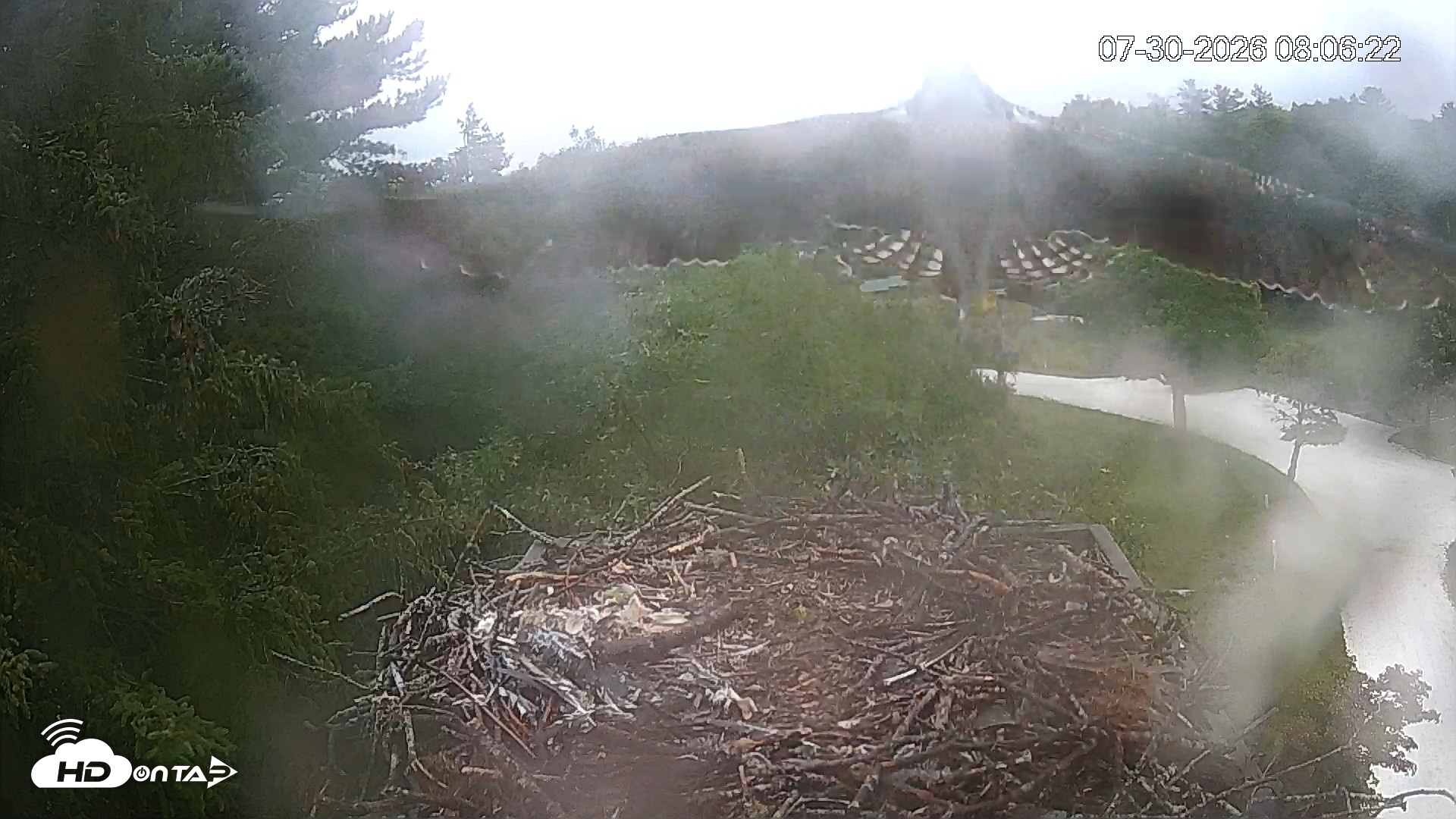 Snapshot of Mashpee Natl. Wildlife Refuge Live Osprey Cam taken Jul 30, 2026, 10:40am EDT