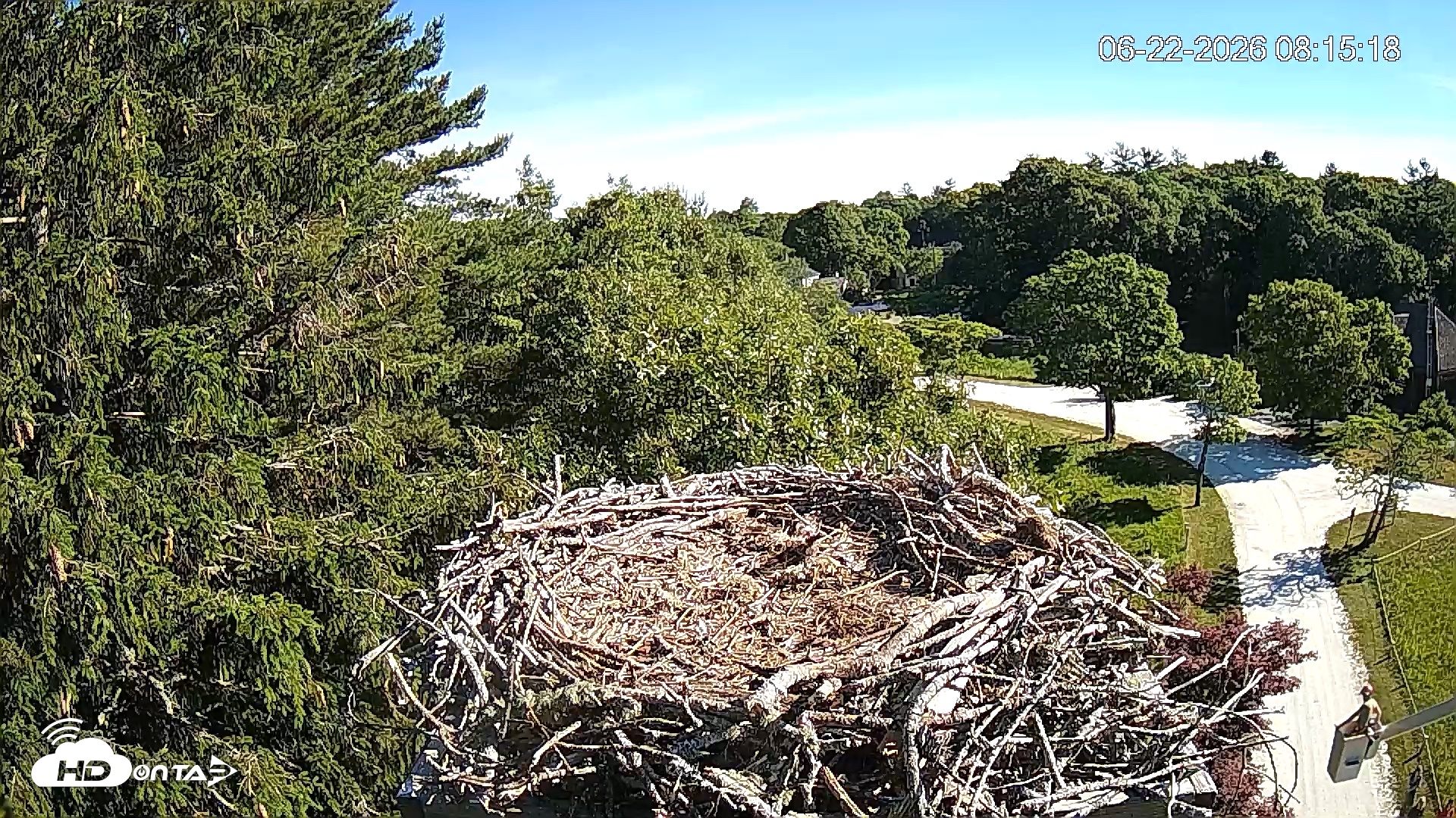 Snapshot of Mashpee Natl. Wildlife Refuge Live Osprey Cam taken Jun 22, 2026, 8:15am EDT
