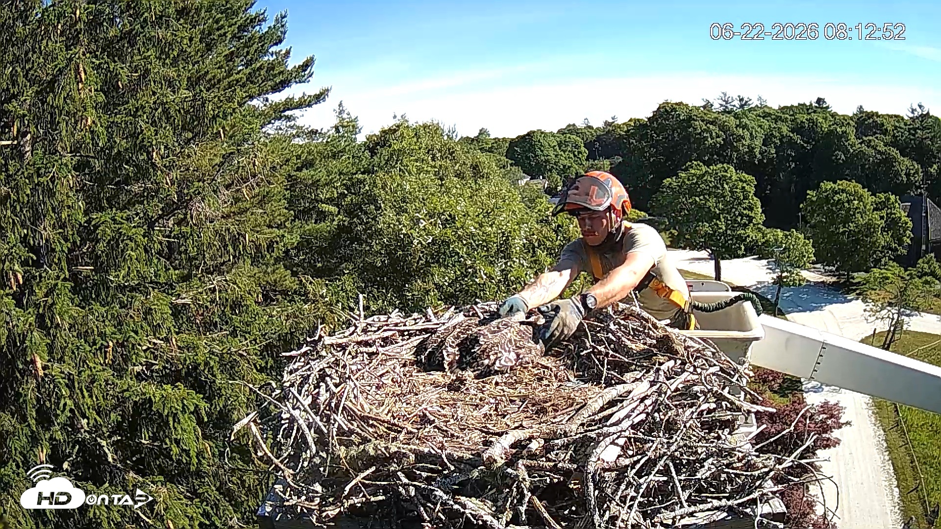 Snapshot of Mashpee Natl. Wildlife Refuge Live Osprey Cam taken Jun 22, 2026, 8:18am EDT