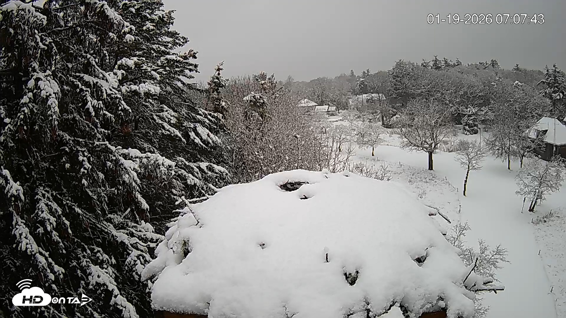 Snapshot of Mashpee Natl. Wildlife Refuge Live Osprey Cam taken Jan 19, 2026, 7:08am EST