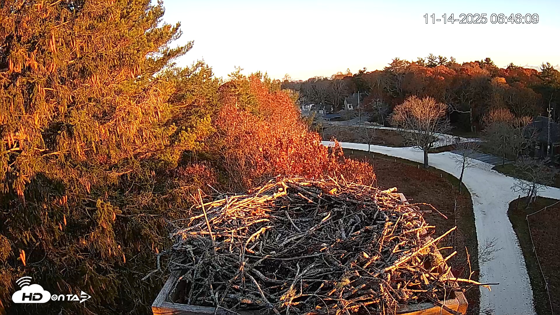 Snapshot of Mashpee Natl. Wildlife Refuge Live Osprey Cam taken Nov 14, 2025, 6:46am EST