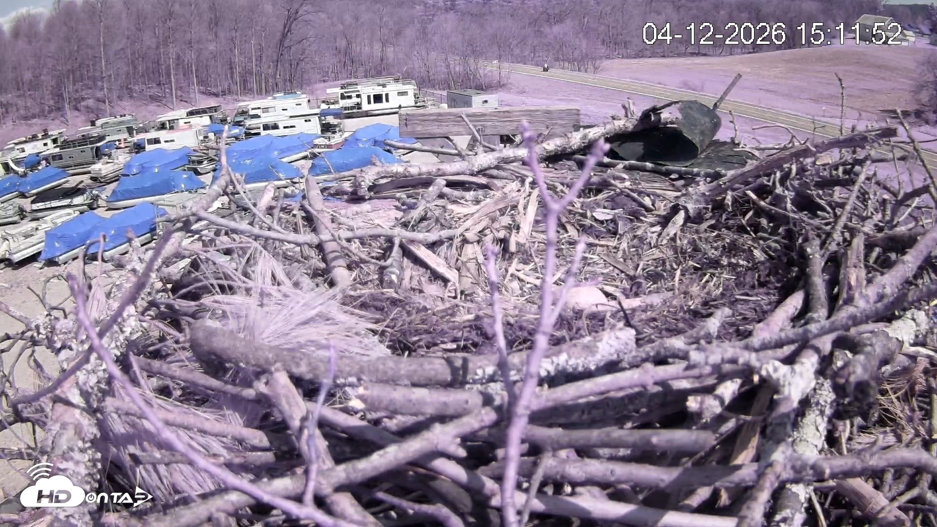Snapshot of Pleasant Hill Lake Ospreys Live Nest Webcam taken Apr 12, 2026, 3:12pm EDT