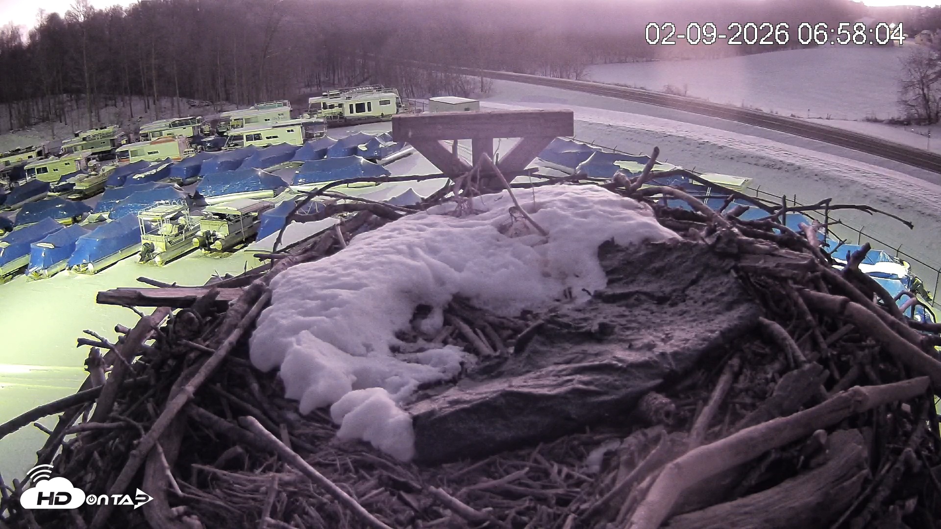 Snapshot of Pleasant Hill Lake Ospreys Live Nest Webcam taken Feb 9, 2026, 6:58am EST