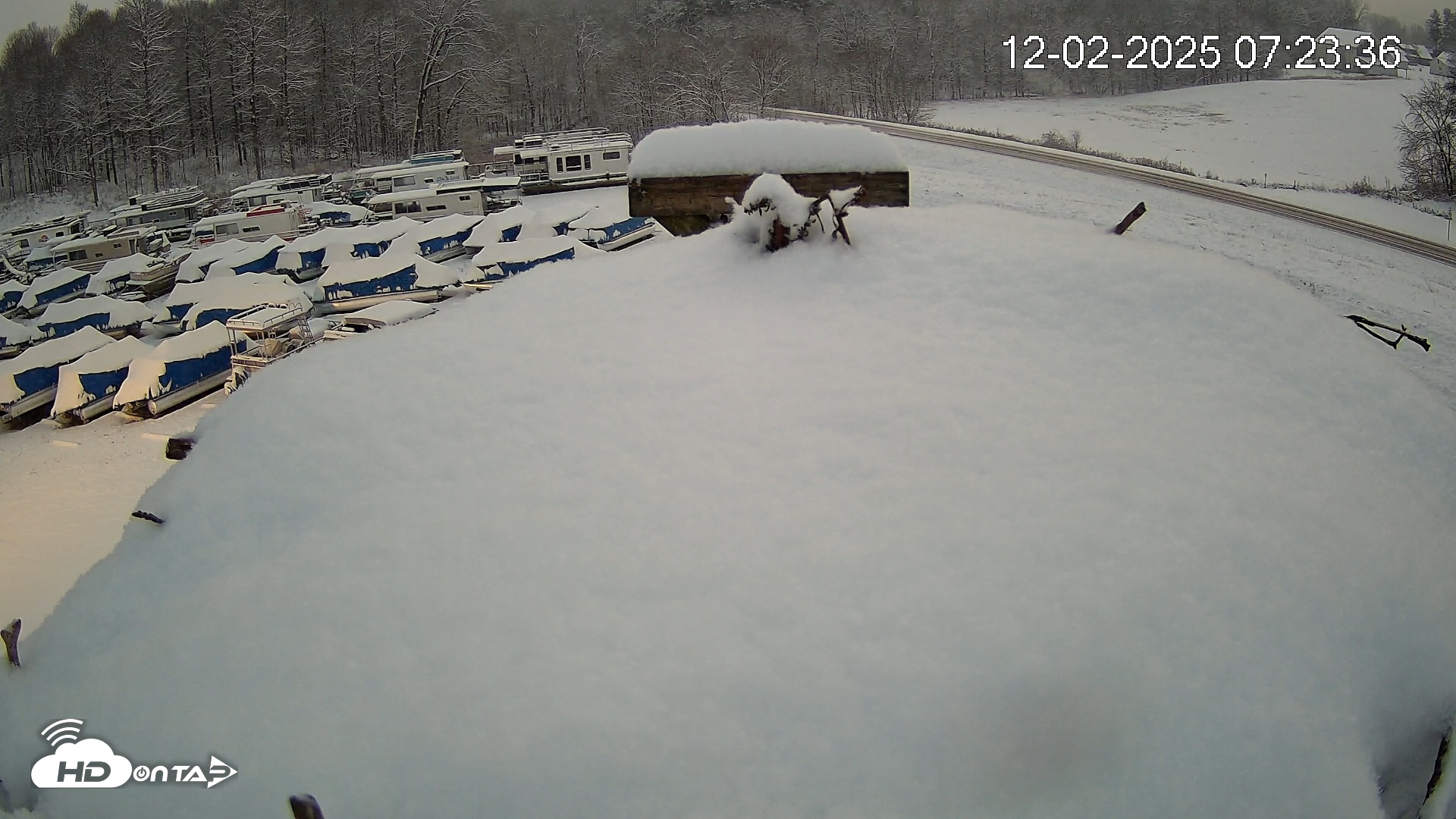 Snapshot of Pleasant Hill Lake Ospreys Live Nest Webcam taken Dec 2, 2025, 7:24am EST