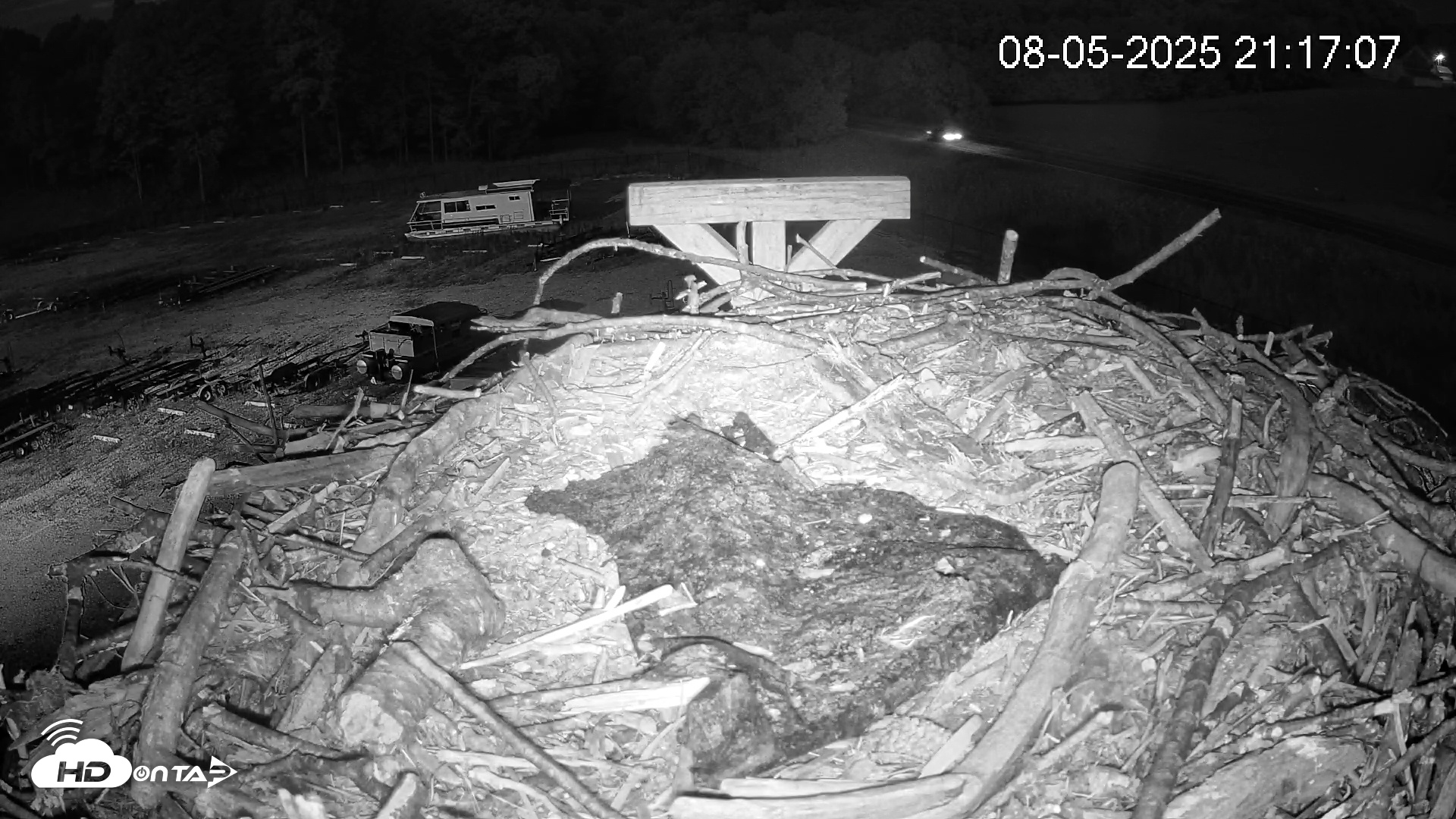 Snapshot of Pleasant Hill Lake Ospreys Live Nest Webcam taken Aug 5, 2025, 9:17pm EDT