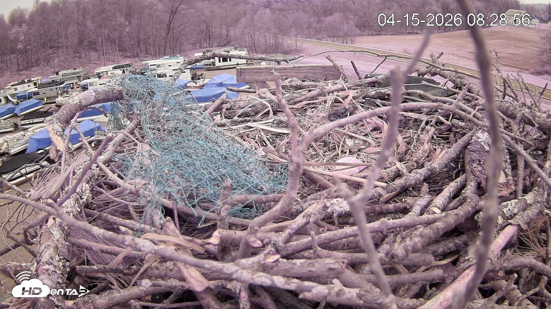 Snapshot of Pleasant Hill Lake Ospreys Live Nest Webcam taken Apr 15, 2026, 8:29am EDT