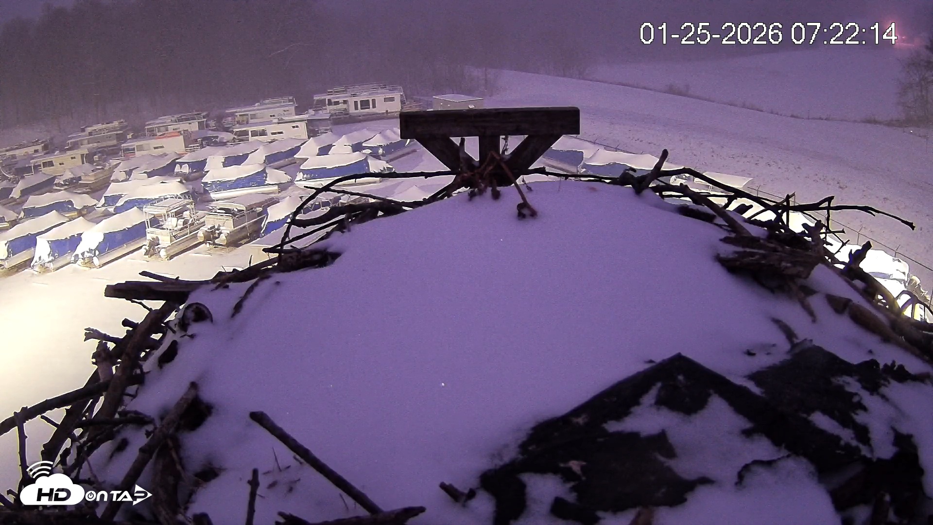 Snapshot of Pleasant Hill Lake Ospreys Live Nest Webcam taken Jan 25, 2026, 7:22am EST