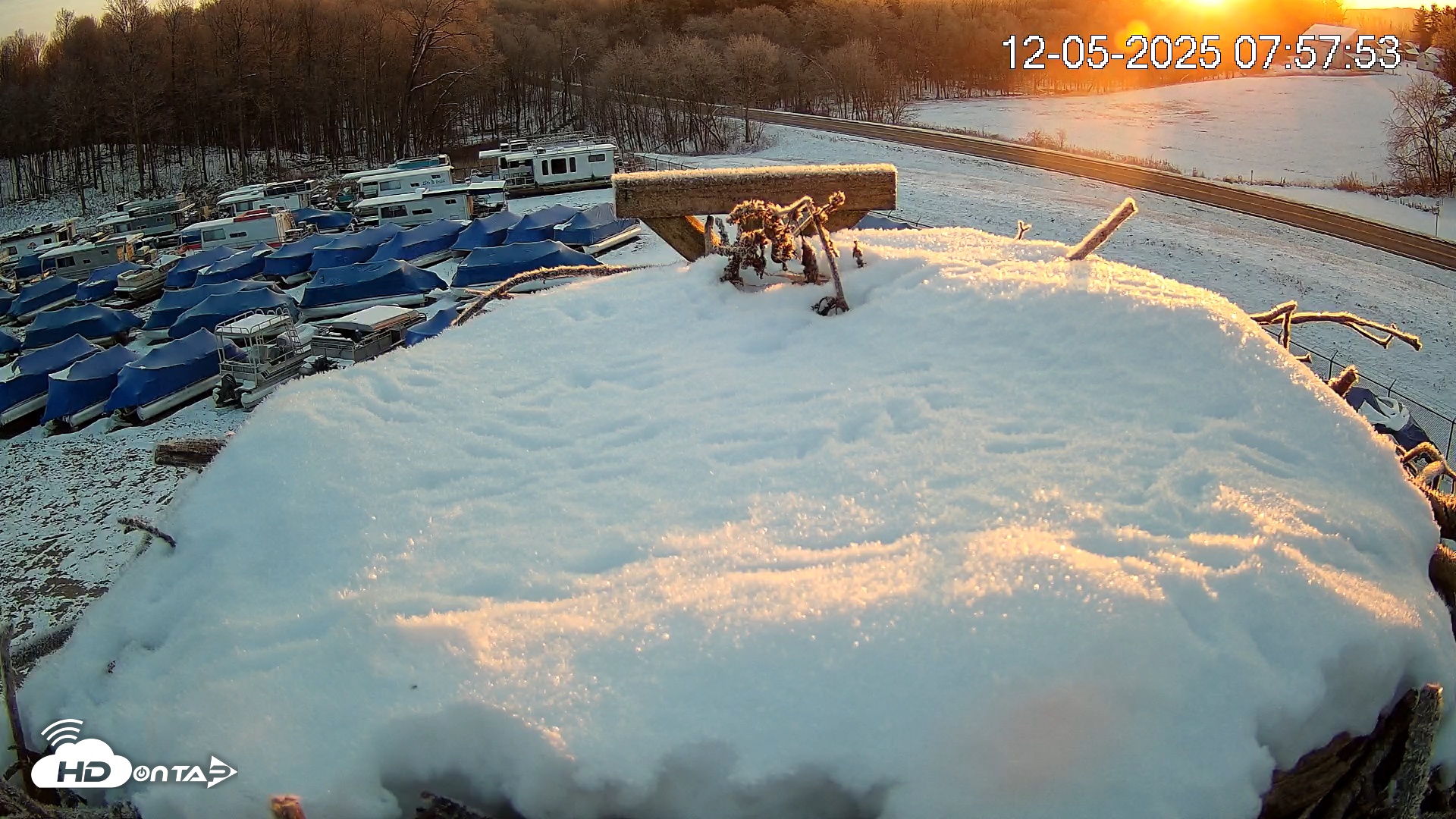 Snapshot of Pleasant Hill Lake Ospreys Live Nest Webcam taken Dec 5, 2025, 7:58am EST
