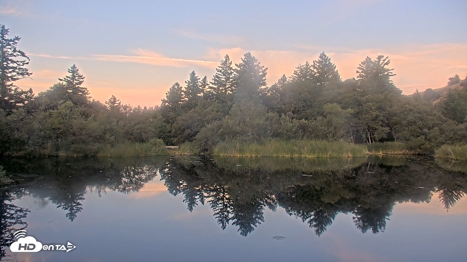Snapshot of Midpeninsula Regional Open Space Live Webcam taken Aug 20, 2026, 6:30am PDT