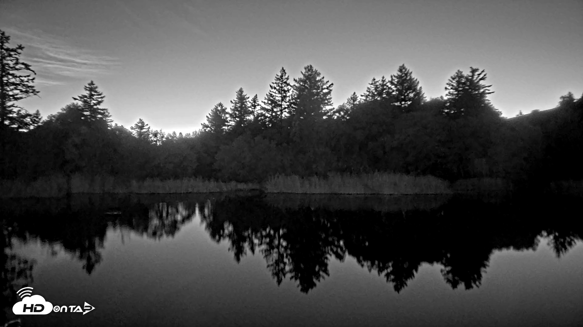 Snapshot of Midpeninsula Regional Open Space Live Webcam taken Dec 14, 2025, 5:41pm PST