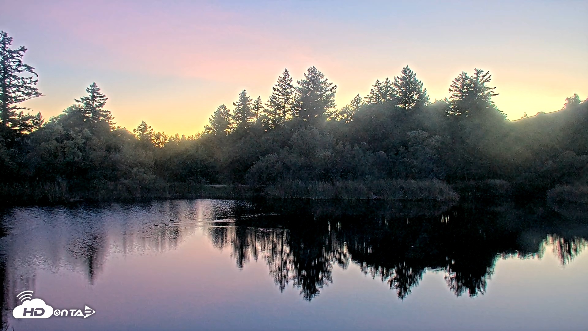 Snapshot of Midpeninsula Regional Open Space Live Webcam taken Nov 8, 2025, 5:20pm PST