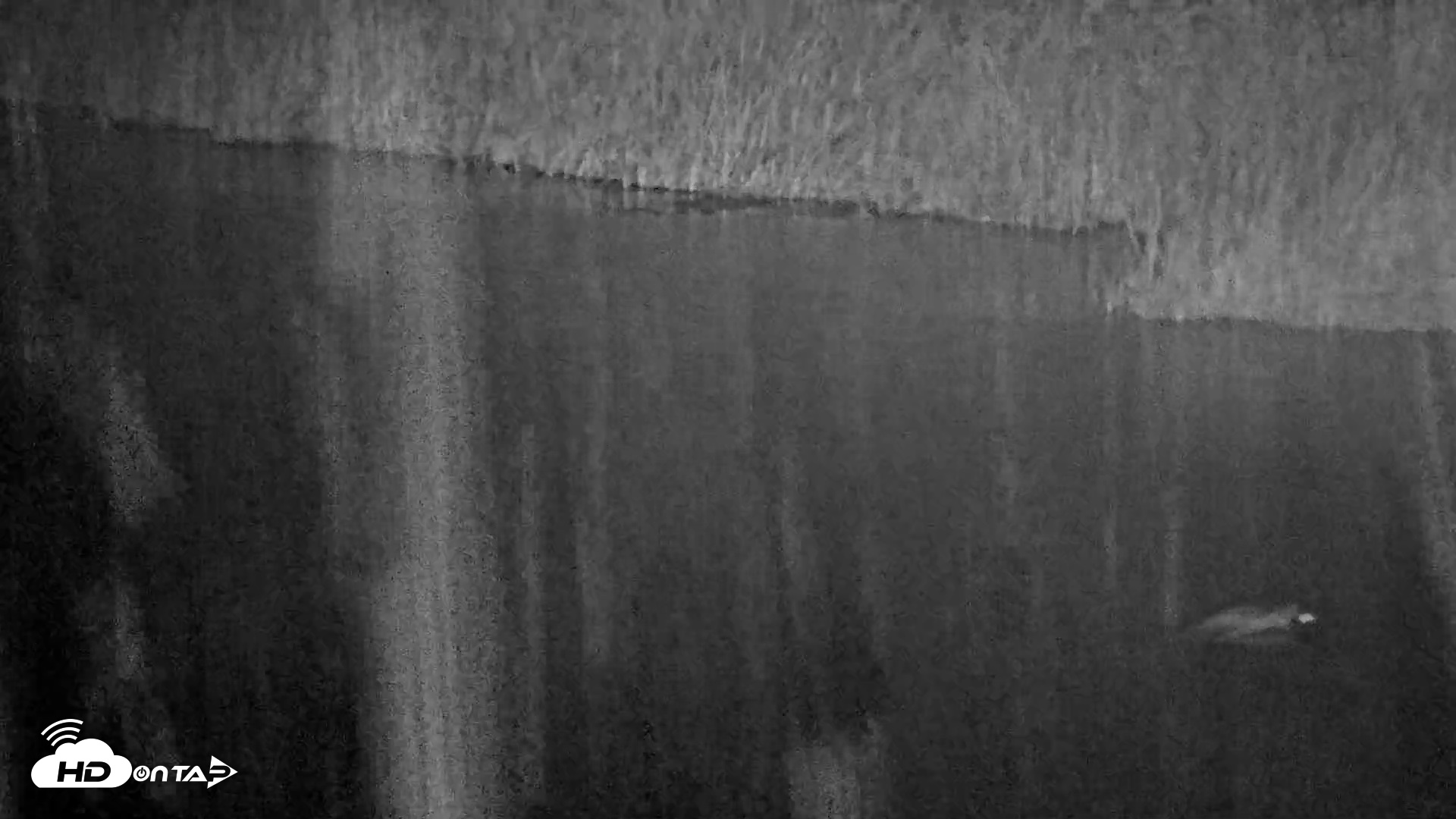 Snapshot of Midpeninsula Regional Open Space Live Webcam taken May 28, 2026, 4:39am PDT
