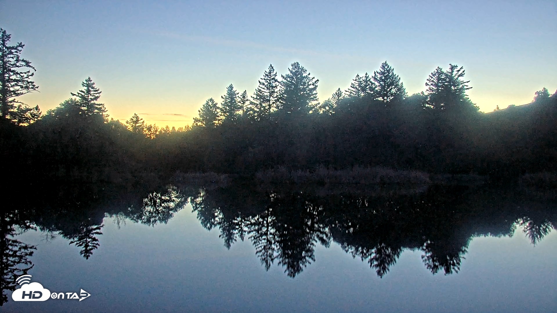 Snapshot of Midpeninsula Regional Open Space Live Webcam taken Jan 24, 2026, 5:58pm PST