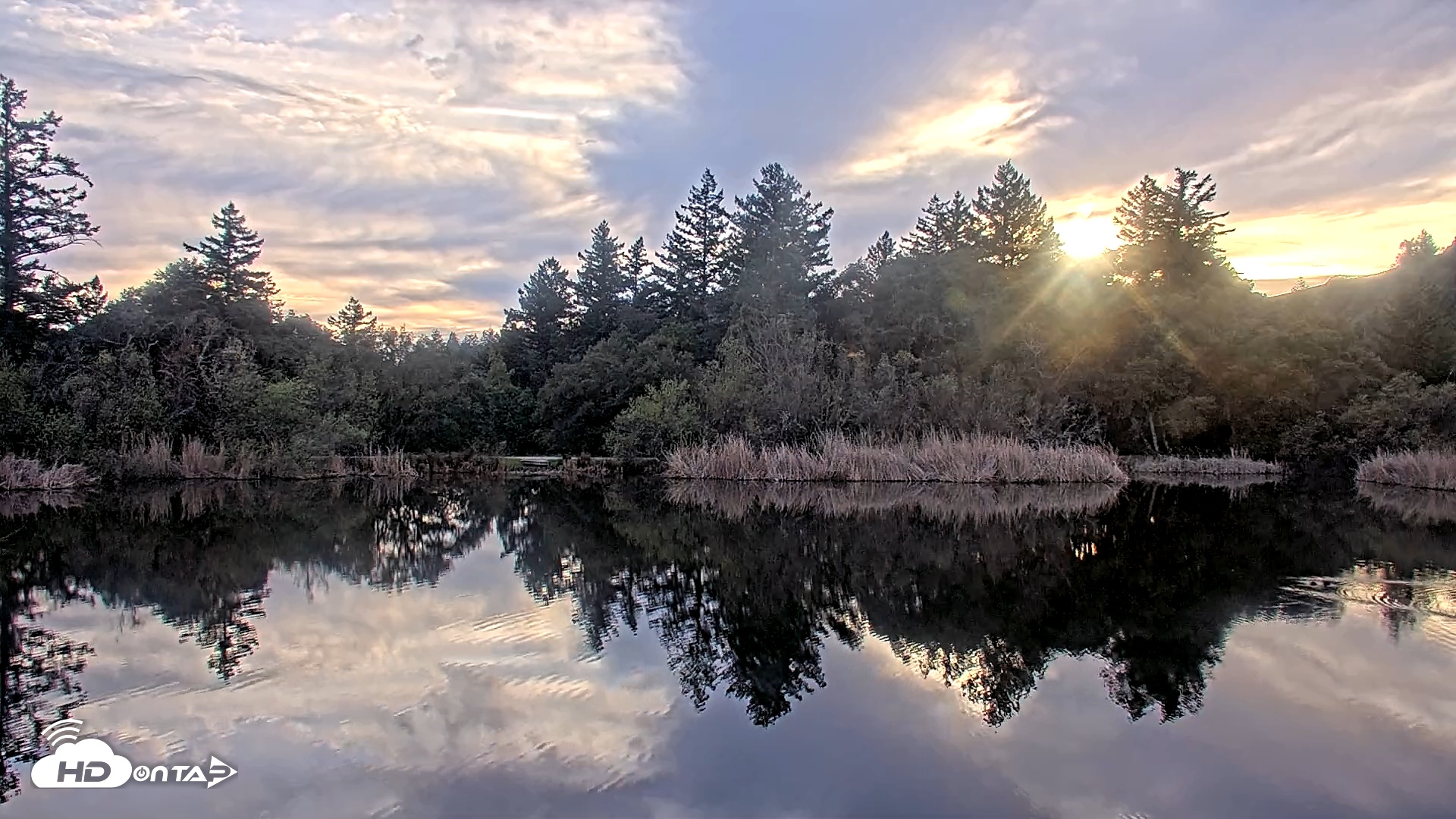 Snapshot of Midpeninsula Regional Open Space Live Webcam taken Feb 5, 2026, 5:00pm PST
