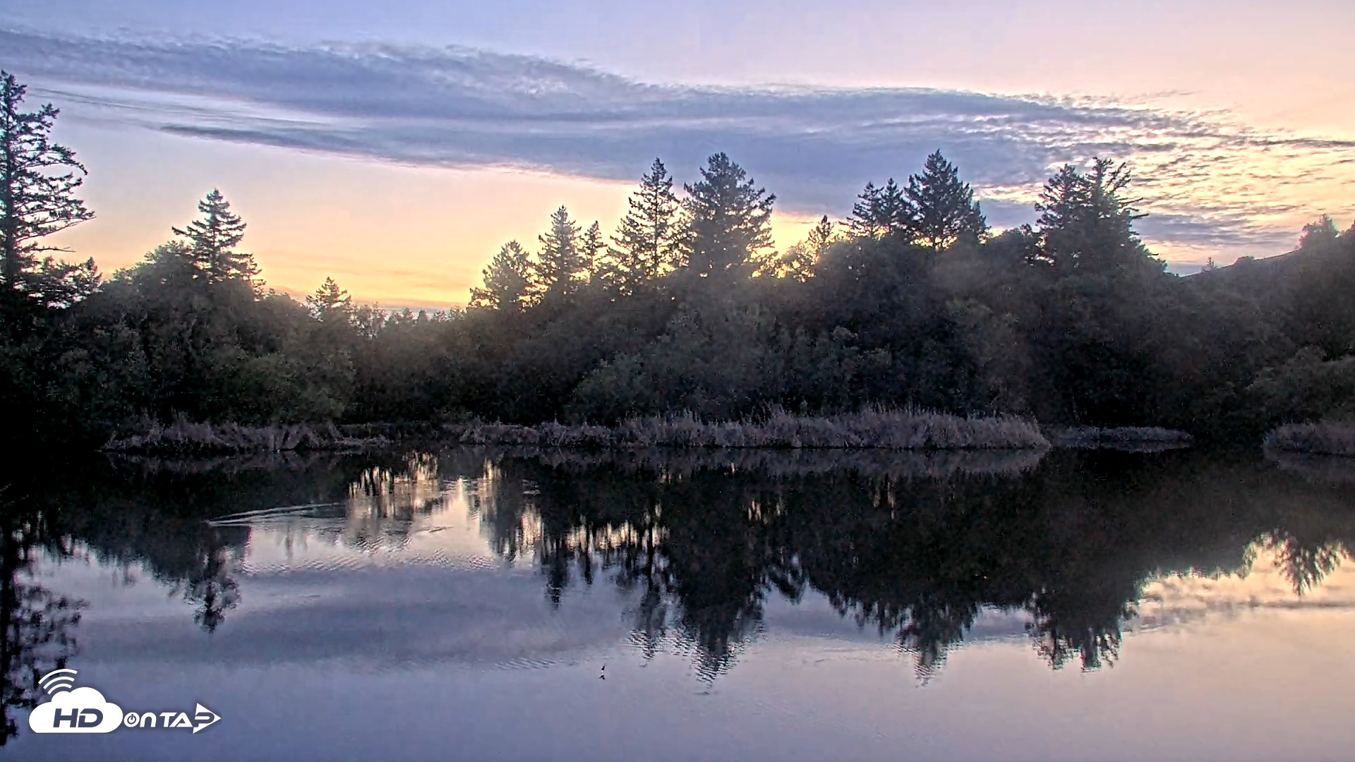 Snapshot of Midpeninsula Regional Open Space Live Webcam taken Feb 26, 2026, 6:17pm PST