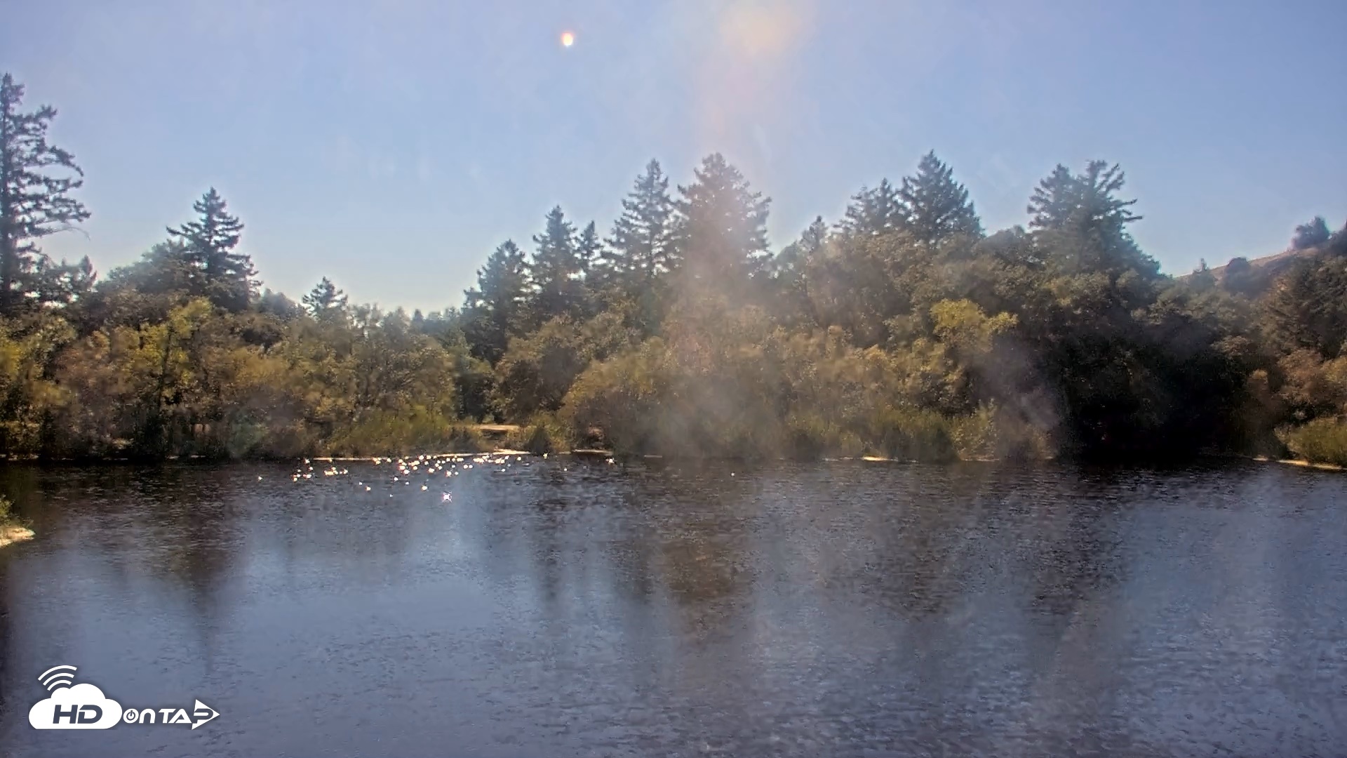 Snapshot of Midpeninsula Regional Open Space Live Webcam taken Oct 8, 2026, 2:48pm PDT