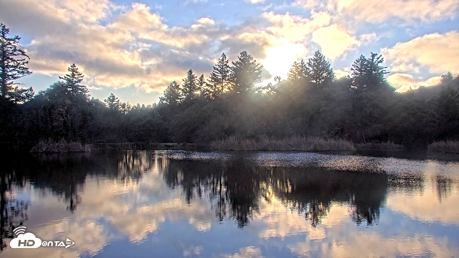 Snapshot of Midpeninsula Regional Open Space Live Webcam taken Dec 27, 2025, 4:16pm PST