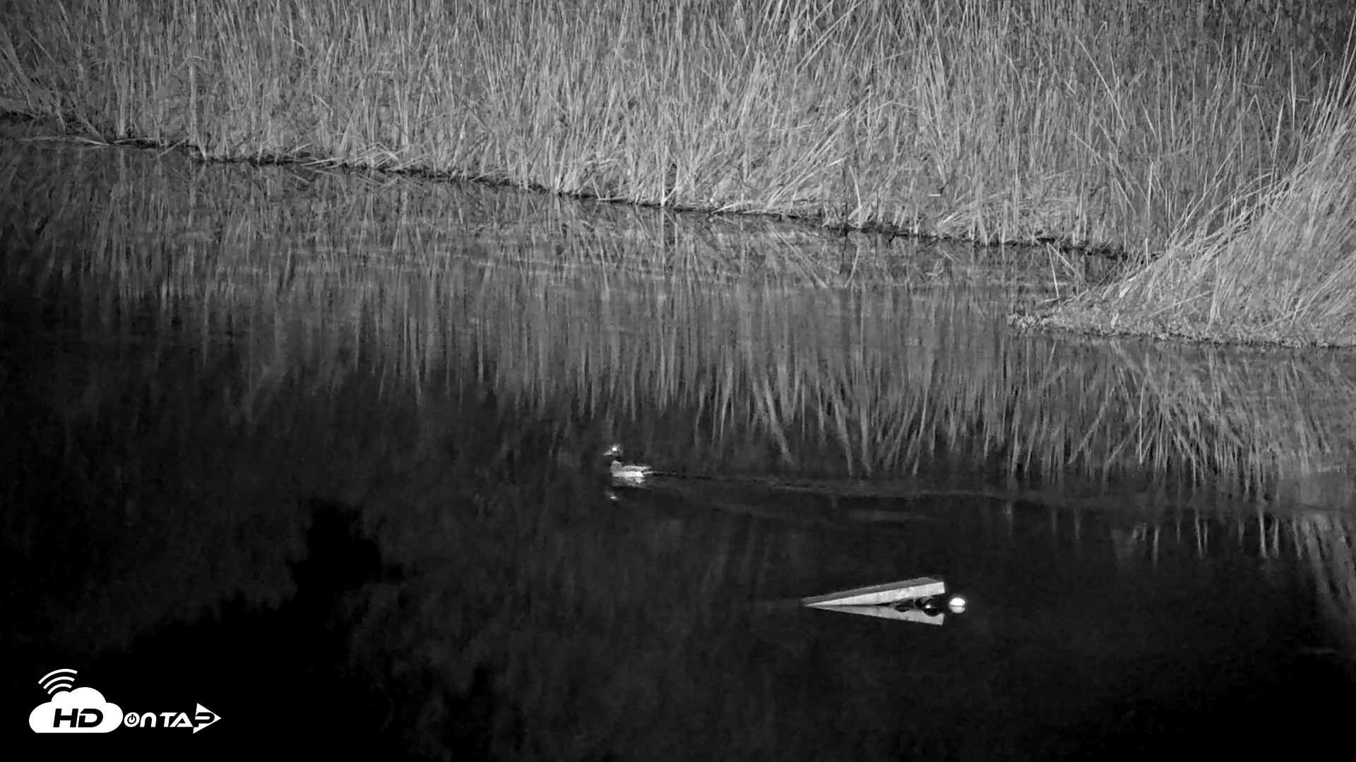 Snapshot of Midpeninsula Regional Open Space Live Webcam taken Nov 29, 2025, 5:31am PST