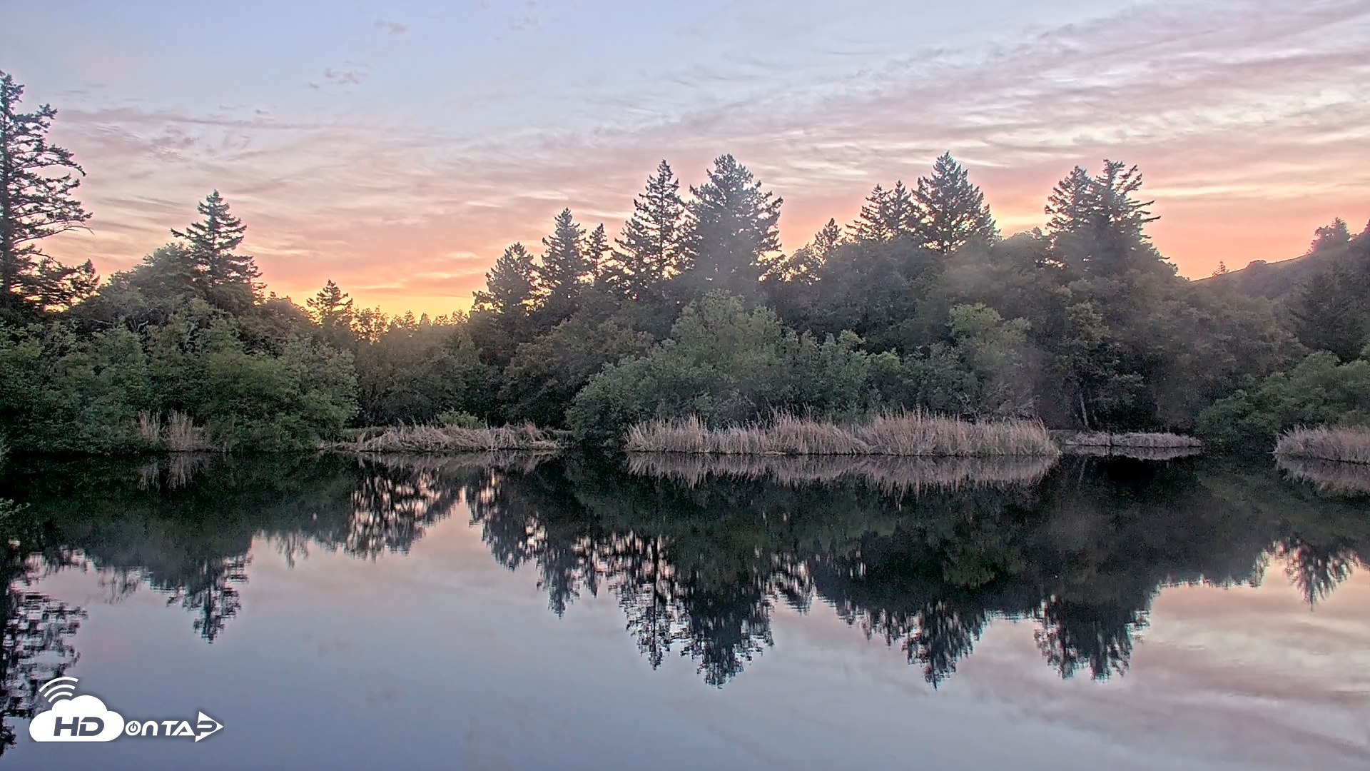 Snapshot of Midpeninsula Regional Open Space Live Webcam taken Mar 27, 2026, 7:30pm PDT