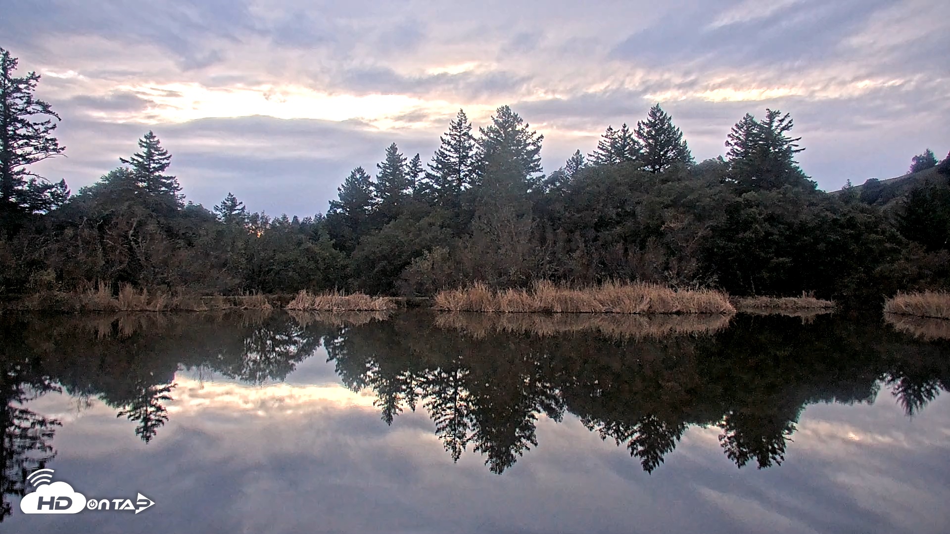 Snapshot of Midpeninsula Regional Open Space Live Webcam taken Jan 21, 2026, 5:42pm PST