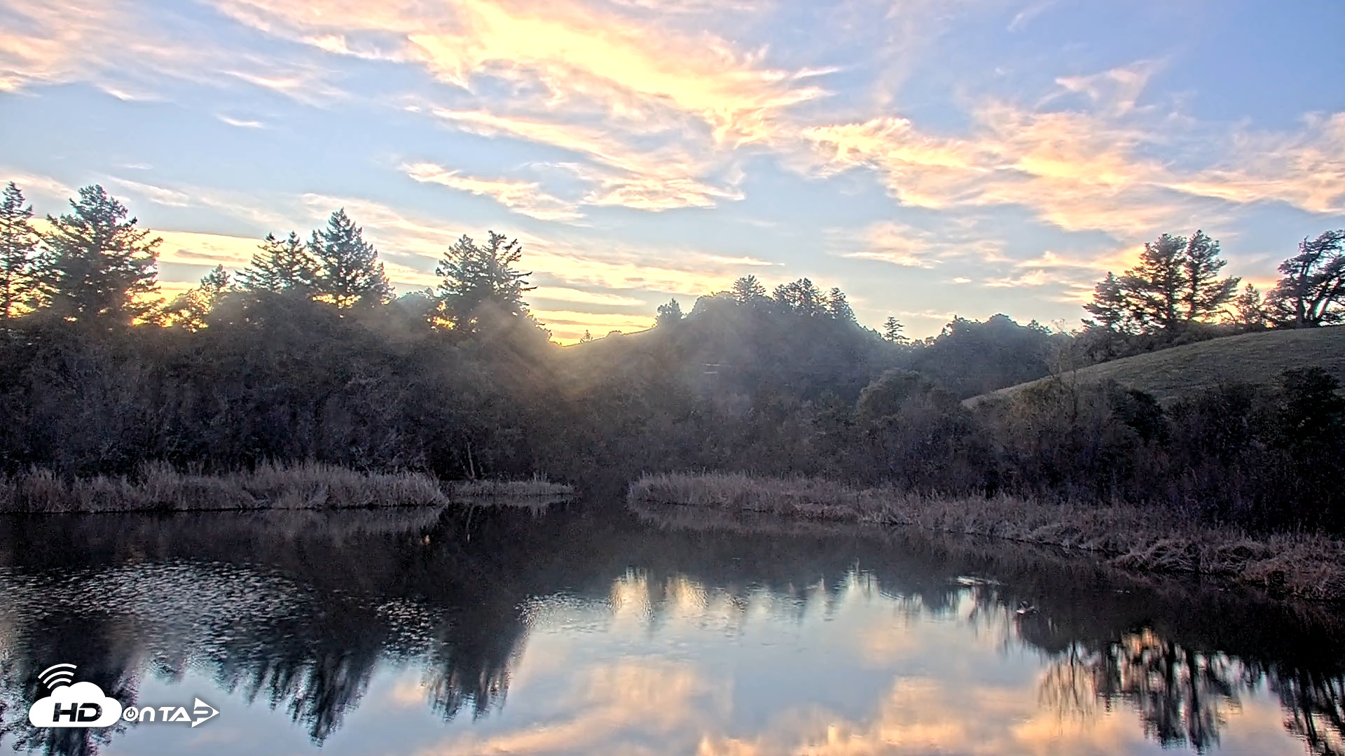 Snapshot of Midpeninsula Regional Open Space Live Webcam taken Jan 19, 2026, 5:09pm PST