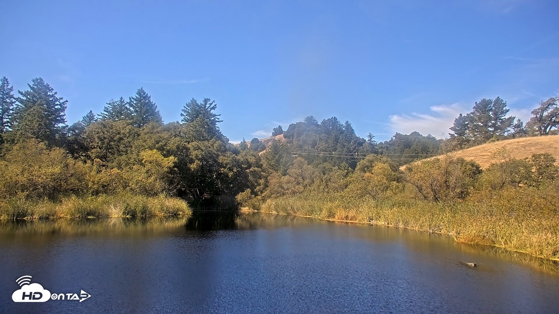 Snapshot of Midpeninsula Regional Open Space Live Webcam taken Sep 25, 2026, 12:29pm PDT