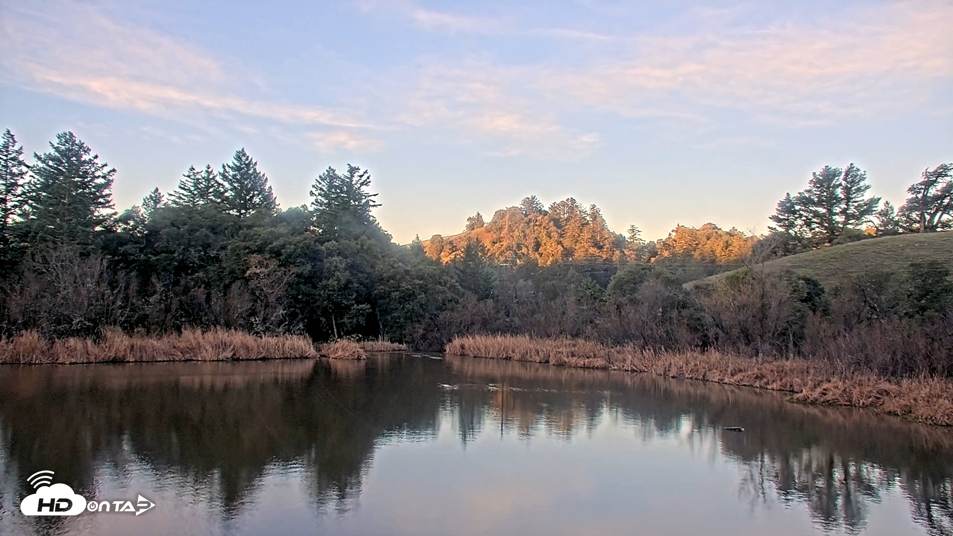 Snapshot of Midpeninsula Regional Open Space Live Webcam taken Jan 8, 2026, 7:36am PST
