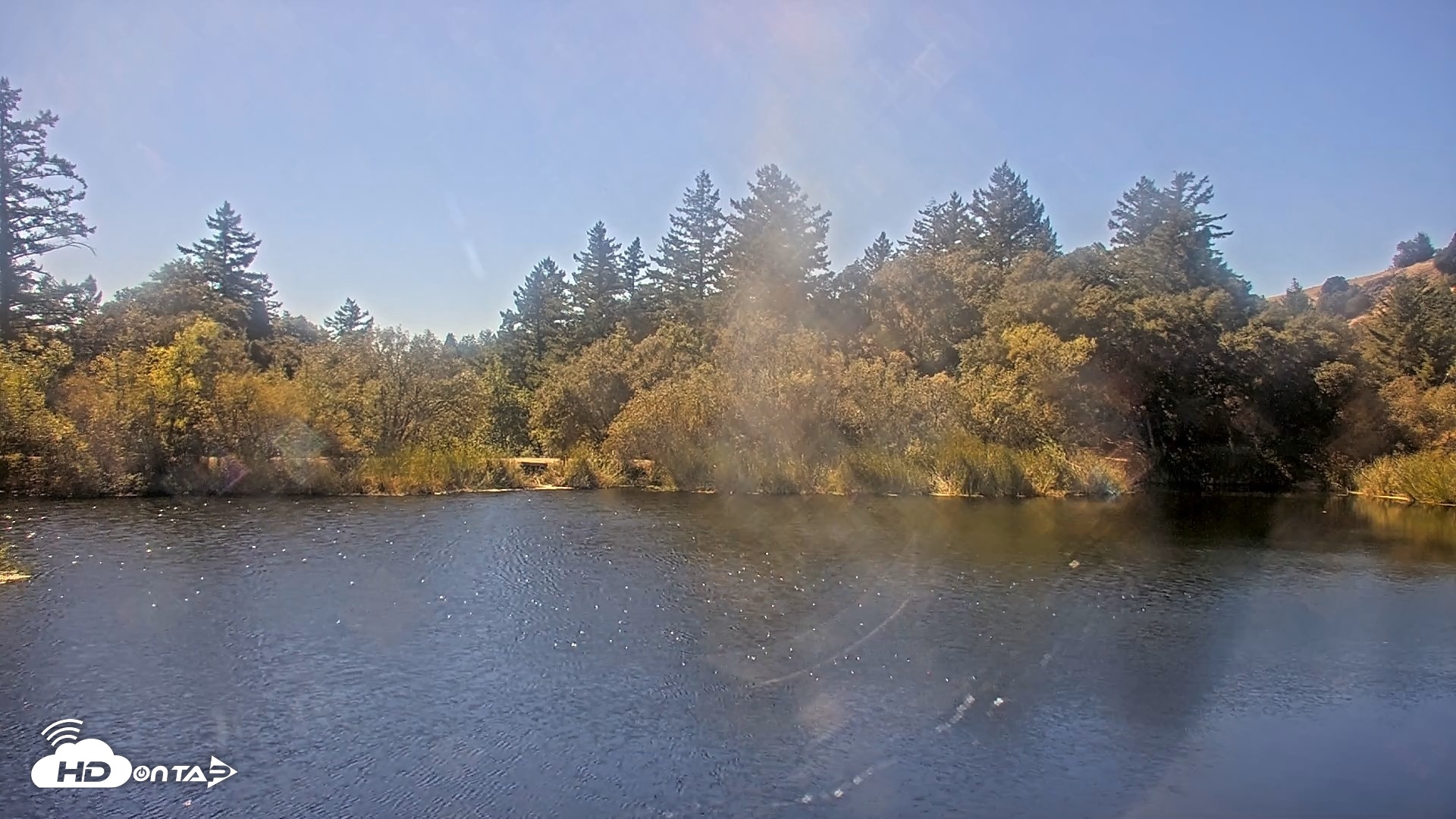Snapshot of Midpeninsula Regional Open Space Live Webcam taken Oct 15, 2026, 1:41pm PDT