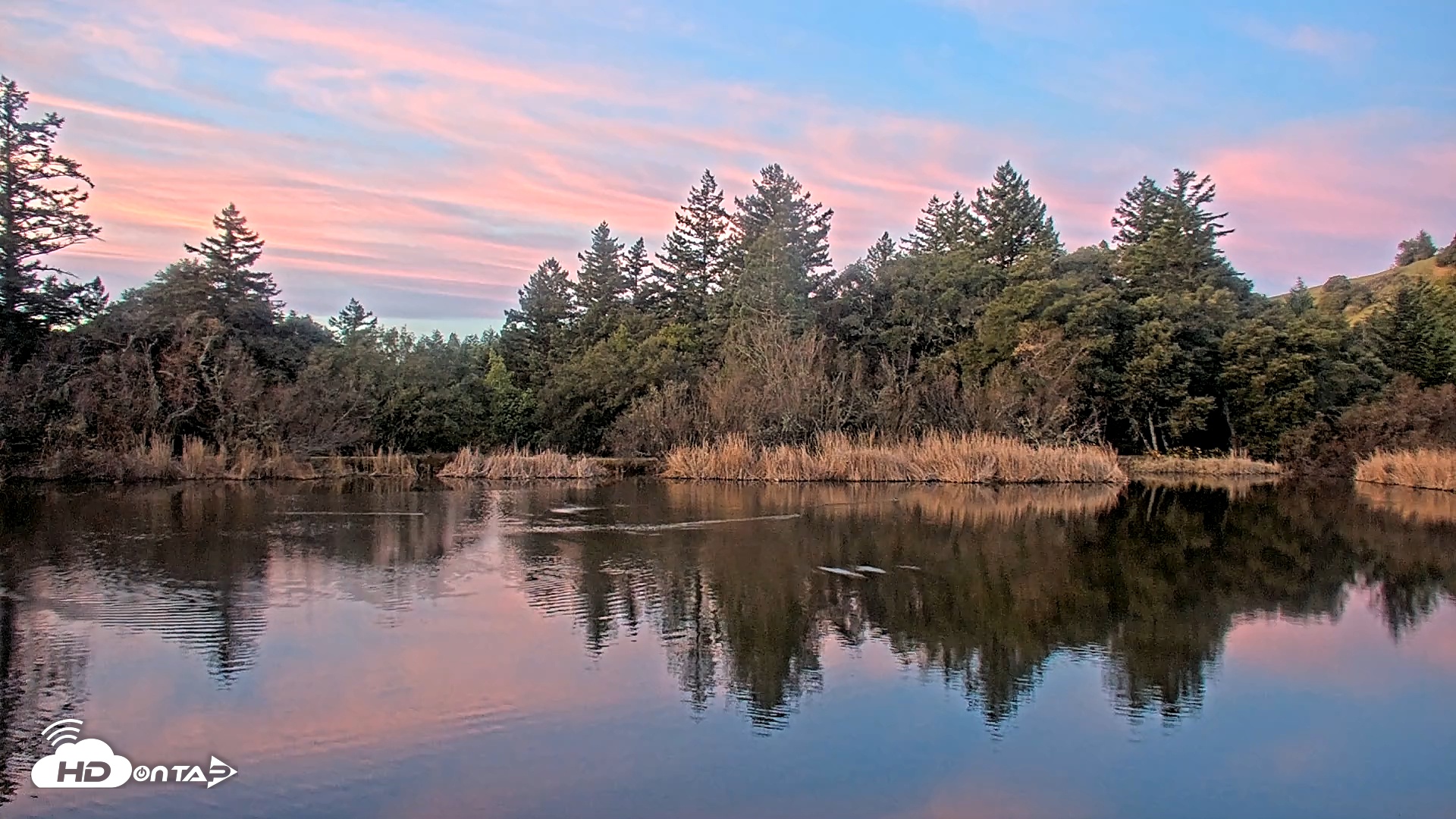 Snapshot of Midpeninsula Regional Open Space Live Webcam taken Jan 17, 2026, 7:11am PST