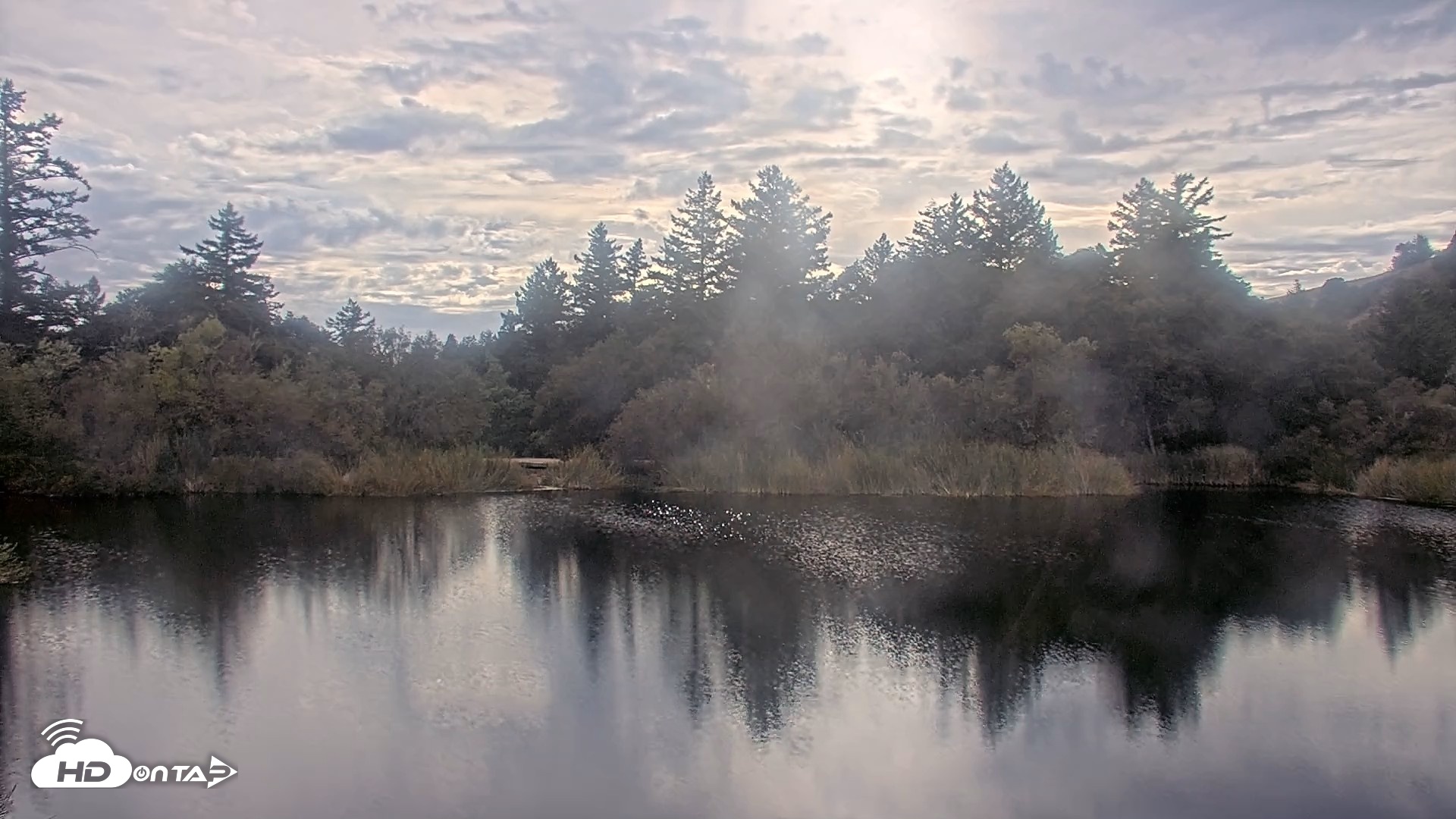 Snapshot of Midpeninsula Regional Open Space Live Webcam taken Oct 20, 2026, 4:01pm PDT