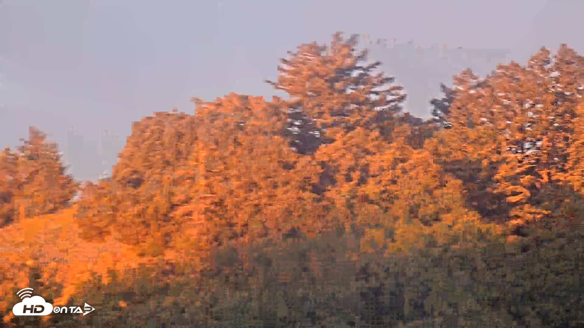 Snapshot of Midpeninsula Regional Open Space Live Webcam taken Jan 17, 2026, 7:26am PST