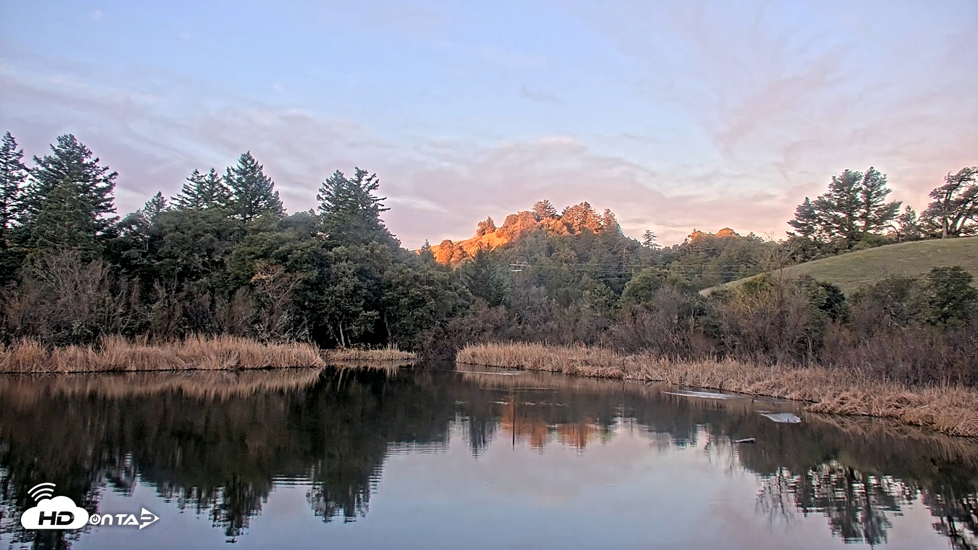 Snapshot of Midpeninsula Regional Open Space Live Webcam taken Jan 17, 2026, 7:25am PST