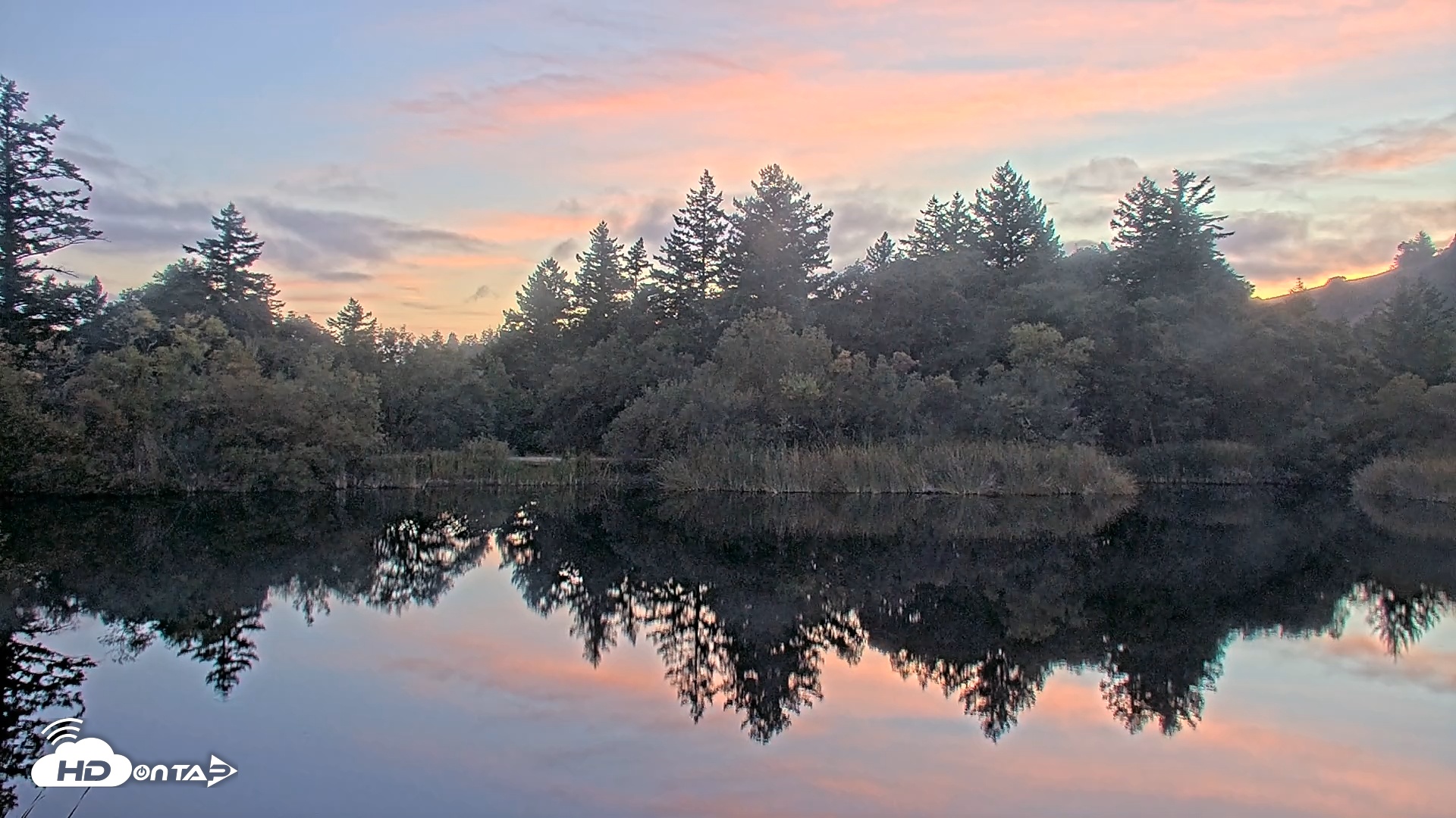Snapshot of Midpeninsula Regional Open Space Live Webcam taken Oct 22, 2025, 6:30pm PDT