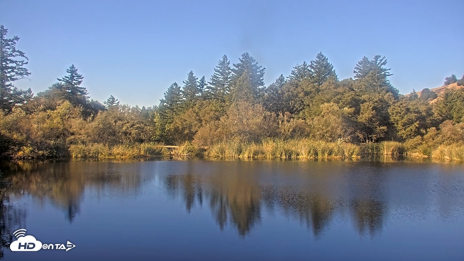 Snapshot of Midpeninsula Regional Open Space Live Webcam taken Oct 6, 2026, 9:21am PDT