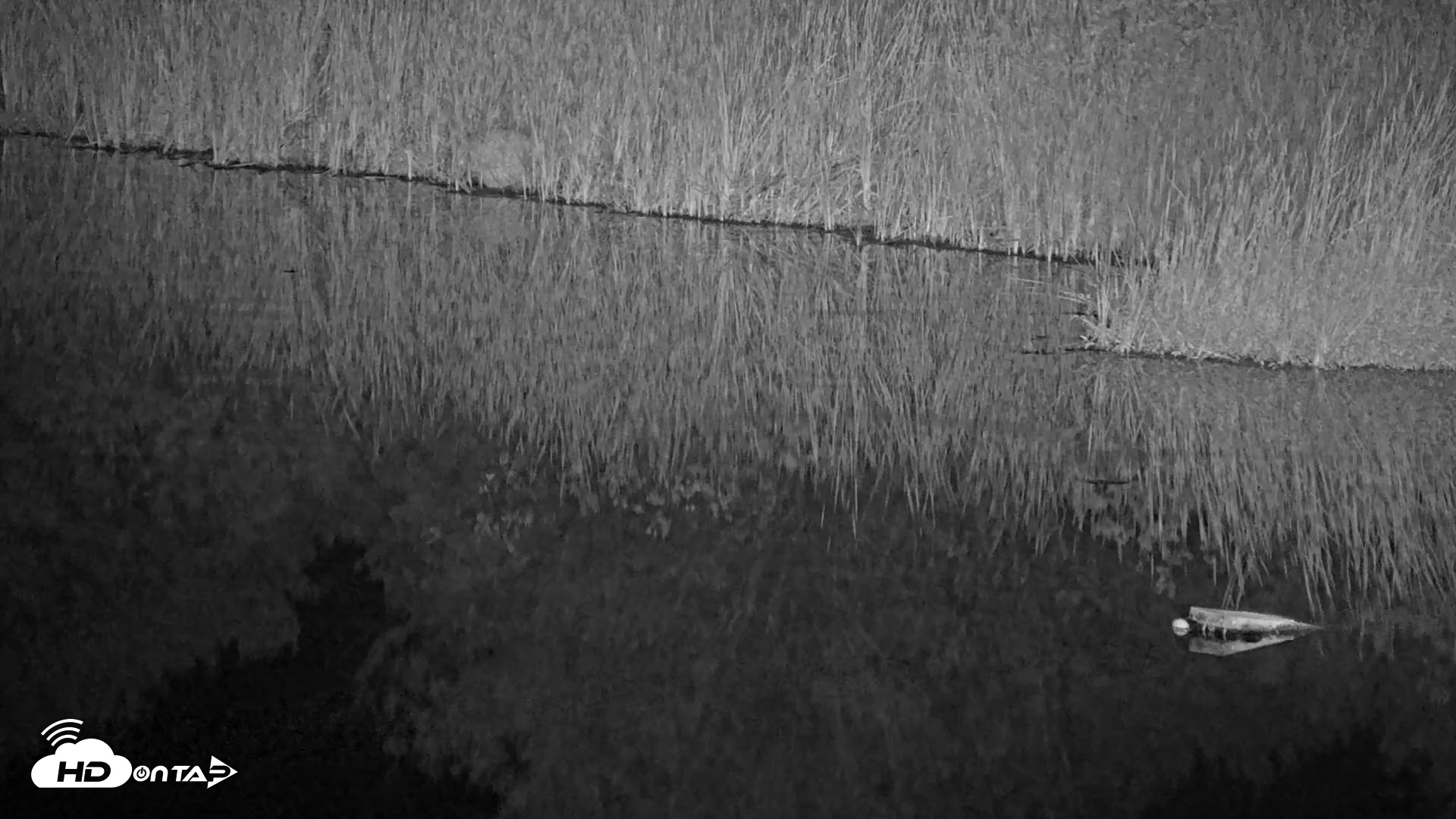 Snapshot of Midpeninsula Regional Open Space Live Webcam taken Aug 2, 2026, 10:45pm PDT
