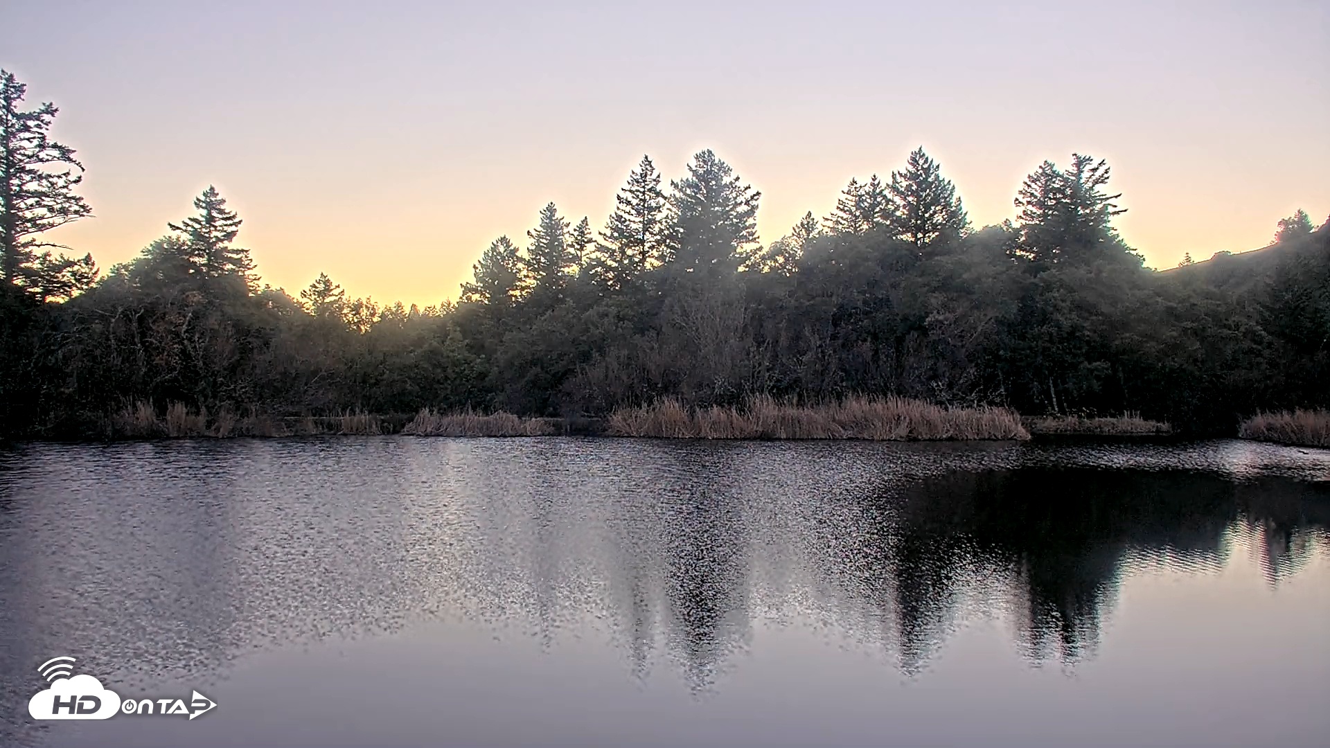 Snapshot of Midpeninsula Regional Open Space Live Webcam taken Jan 13, 2026, 4:54pm PST