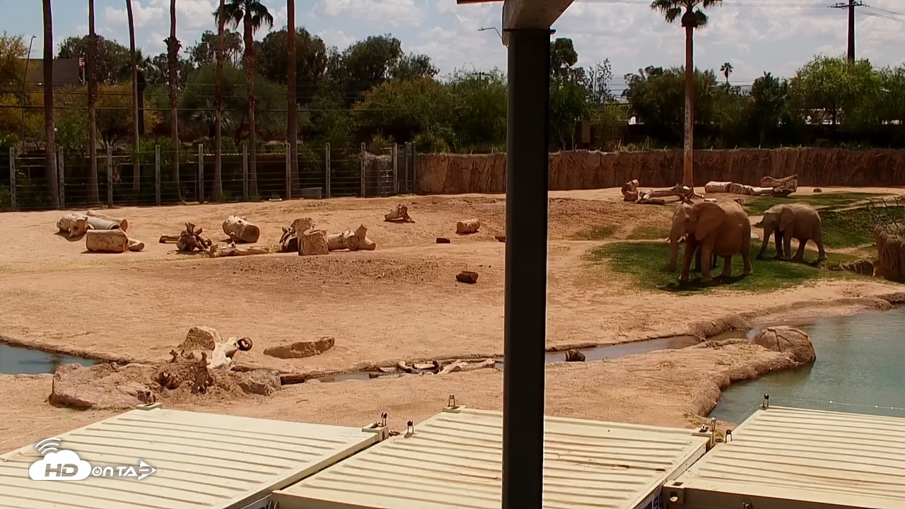 Snapshot of Reid Park Zoo Elephant Mudpit taken May 4, 2025, 1:55pm MST