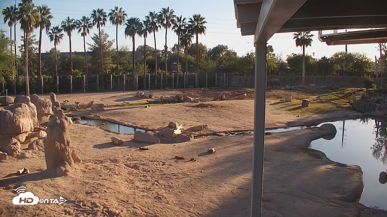 Snapshot of Reid Park Zoo Elephant Mudpit Live Webcam taken Oct 30, 2025, 4:34pm MST