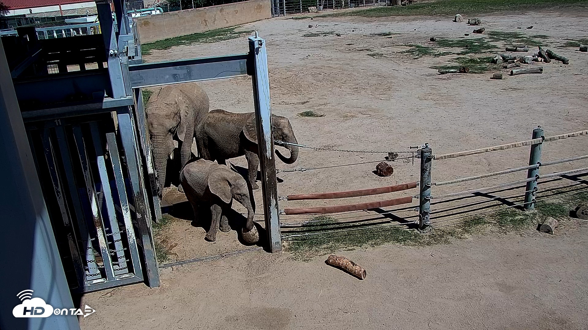 Snapshot of Reid Park Zoo Elephant Mudpit Live Webcam taken Oct 8, 2026, 12:37pm MST