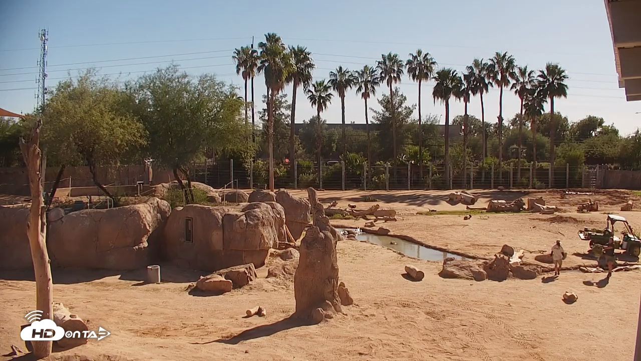 Snapshot of Reid Park Zoo Elephant Mudpit Live Webcam taken Oct 29, 2025, 2:16pm MST