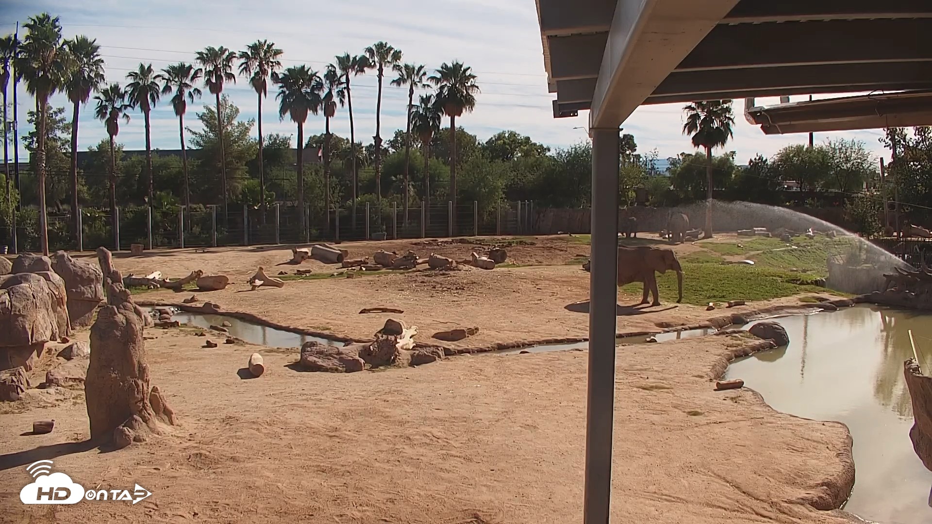 Snapshot of Reid Park Zoo Elephant Mudpit Live Webcam taken Sep 26, 2026, 3:28pm MST