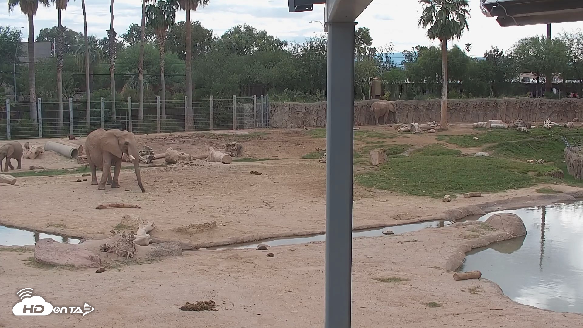 Snapshot of Reid Park Zoo Elephant Mudpit Live Webcam taken Sep 27, 2026, 3:42pm MST