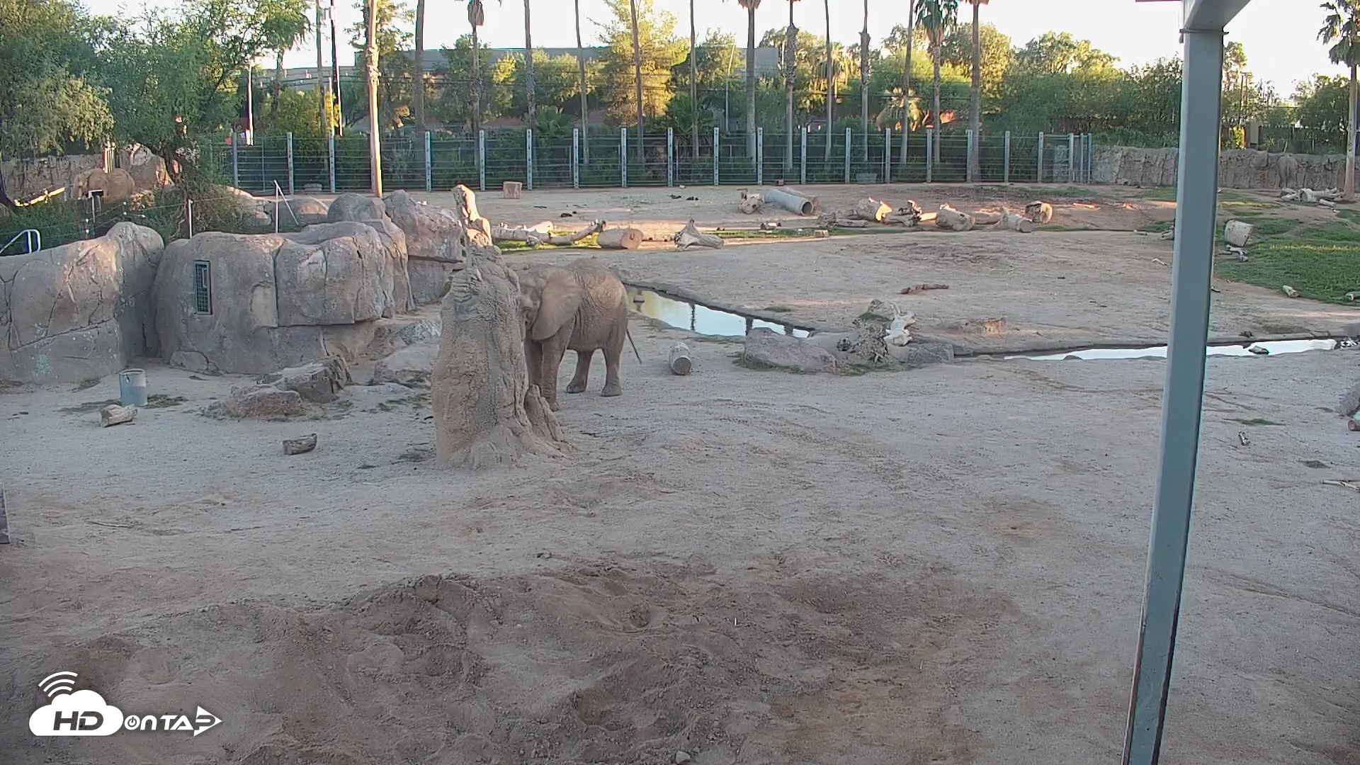 Snapshot of Reid Park Zoo Elephant Mudpit Live Webcam taken Sep 19, 2026, 5:54pm MST