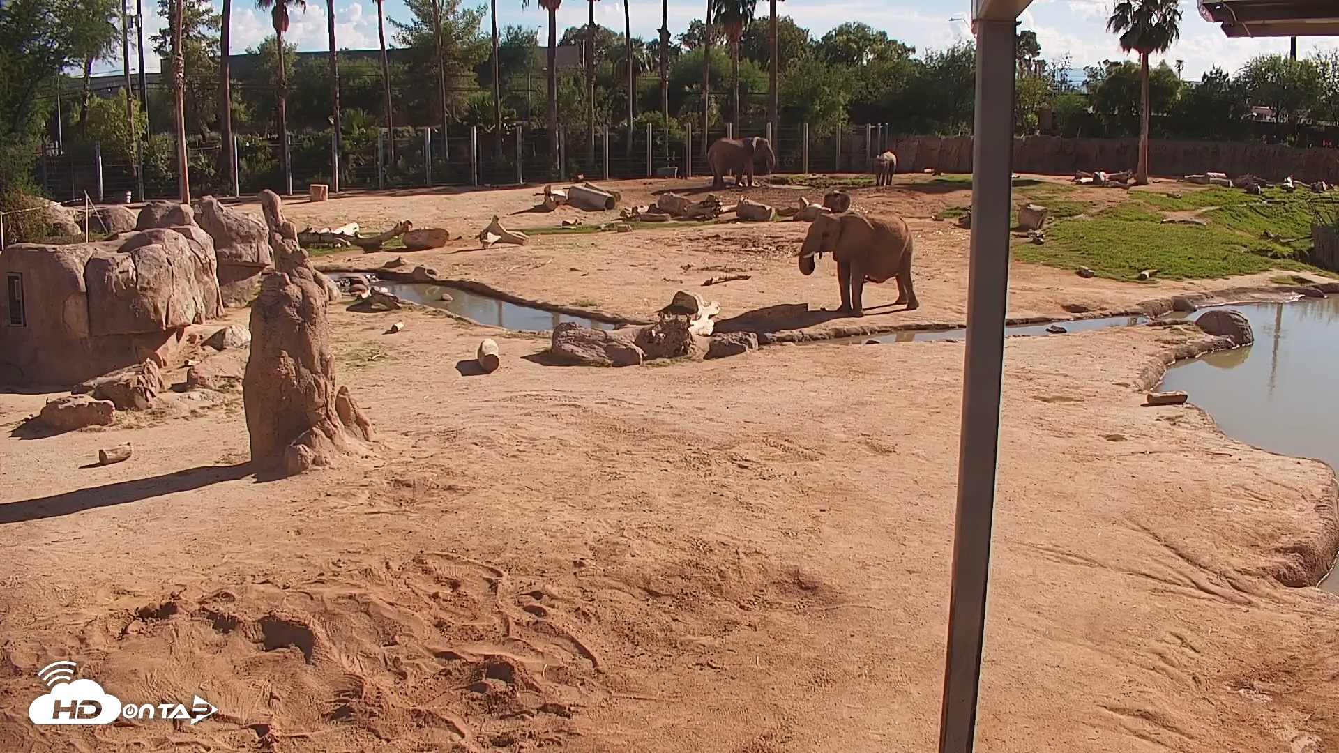 Snapshot of Reid Park Zoo Elephant Mudpit Live Webcam taken Sep 20, 2026, 3:56pm MST