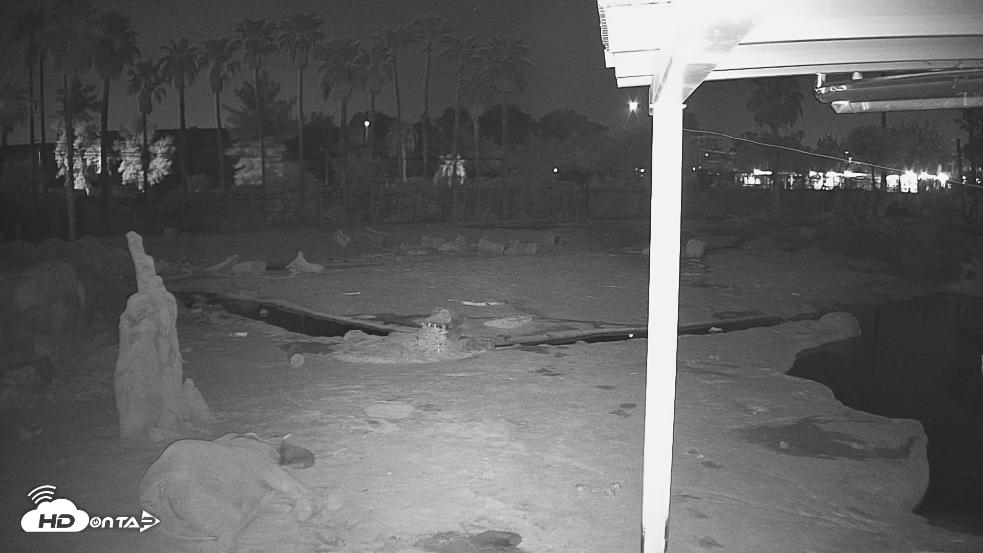 Snapshot of Reid Park Zoo Elephant Mudpit Live Webcam taken Sep 5, 2026, 2:07am MST