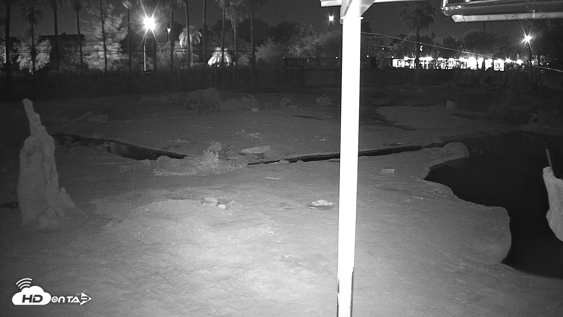 Snapshot of Reid Park Zoo Elephant Mudpit Live Webcam taken Jun 6, 2026, 1:30am MST