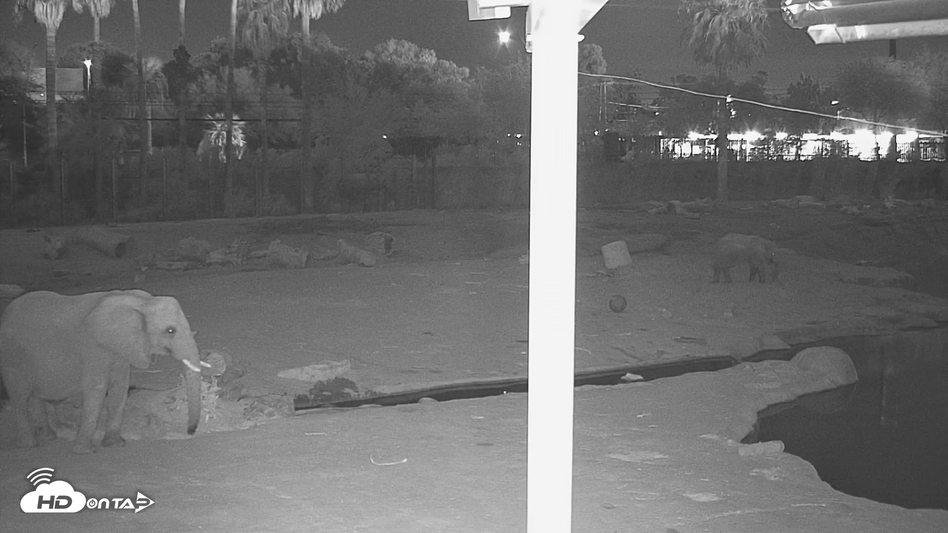 Snapshot of Reid Park Zoo Elephant Mudpit Live Webcam taken Sep 23, 2026, 9:13pm MST